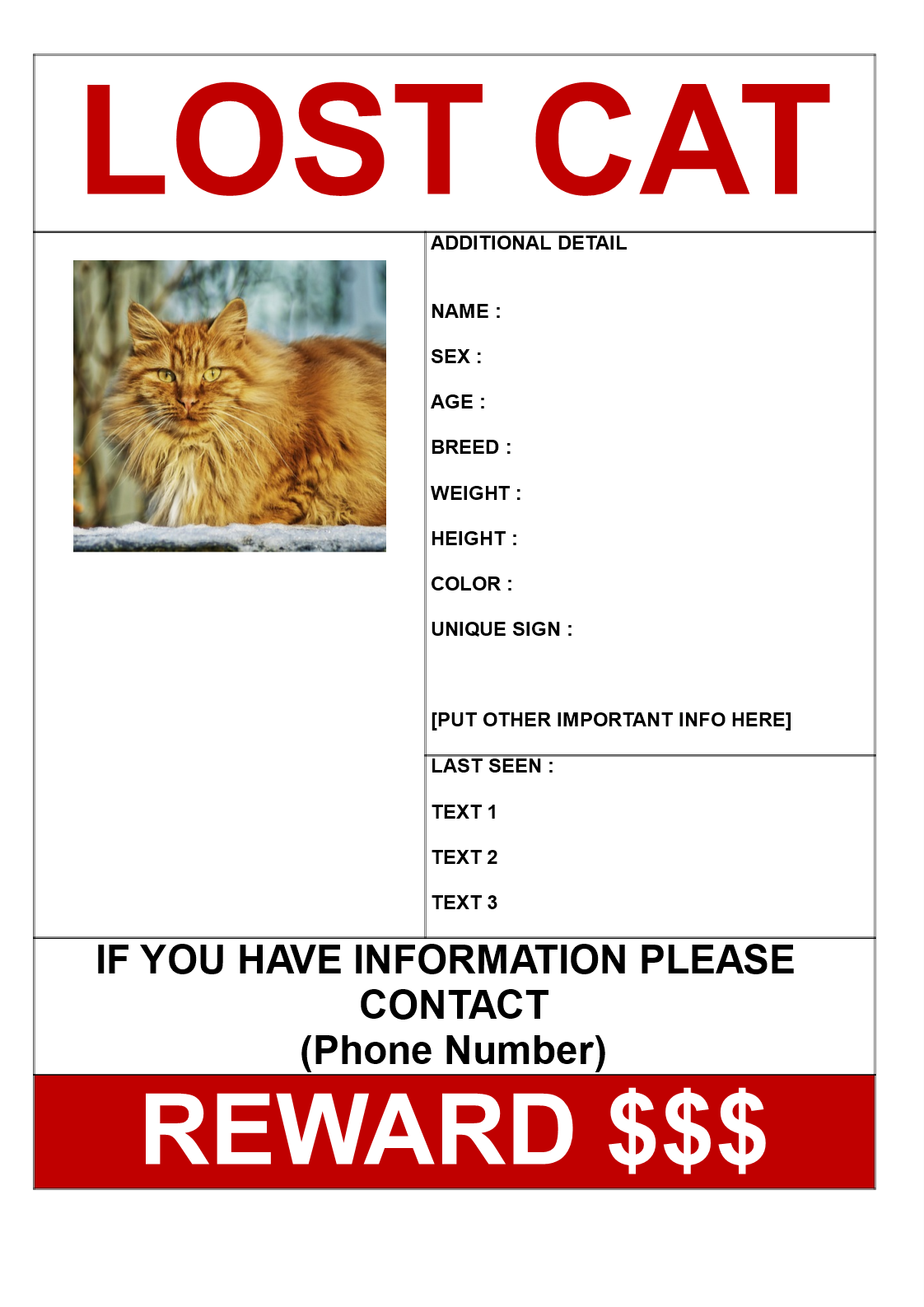 Find Missing Cat Poster with Reward Template main image