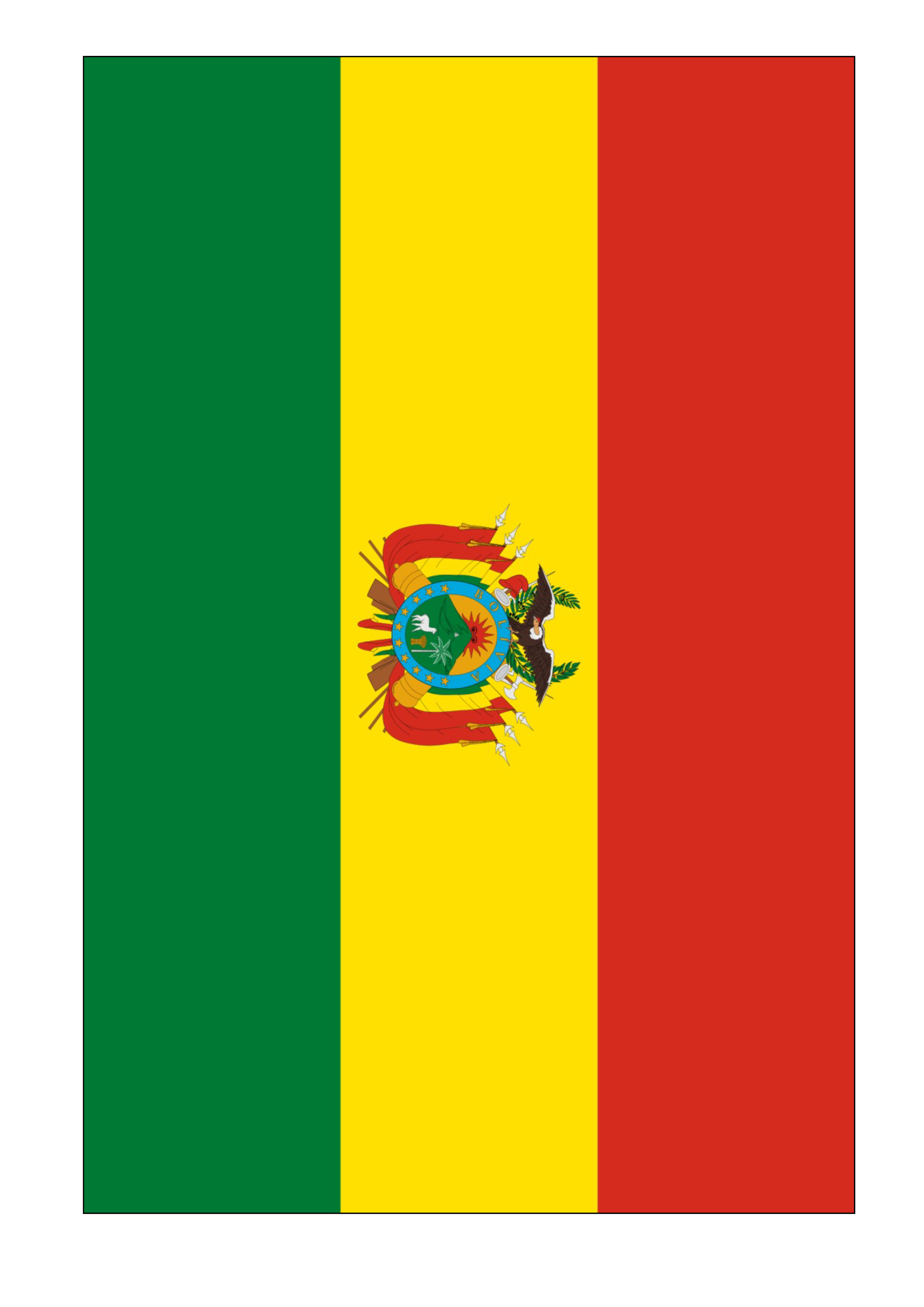 Bolivia Flag main image