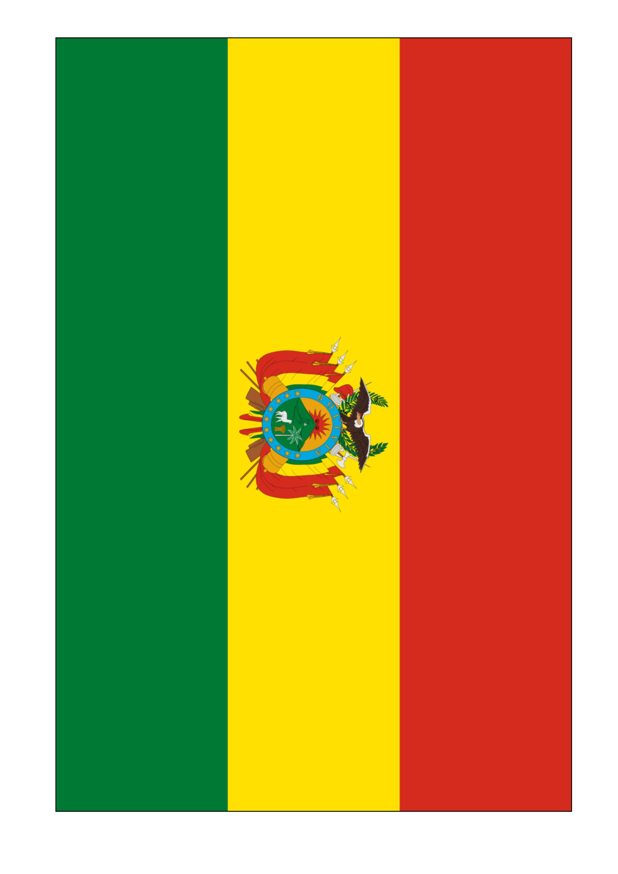 bolivia flag voorbeeld afbeelding 