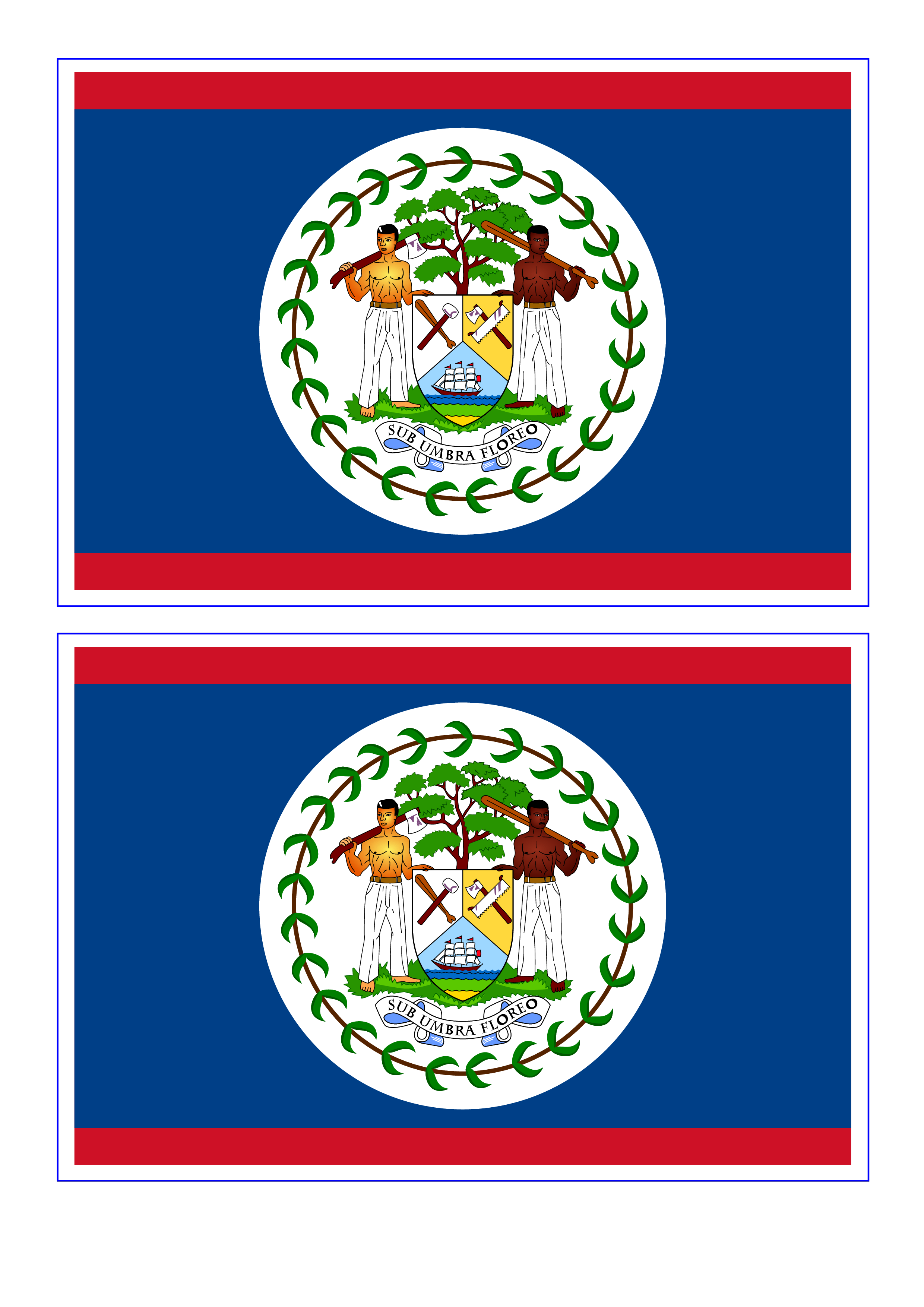 Belize Flag main image