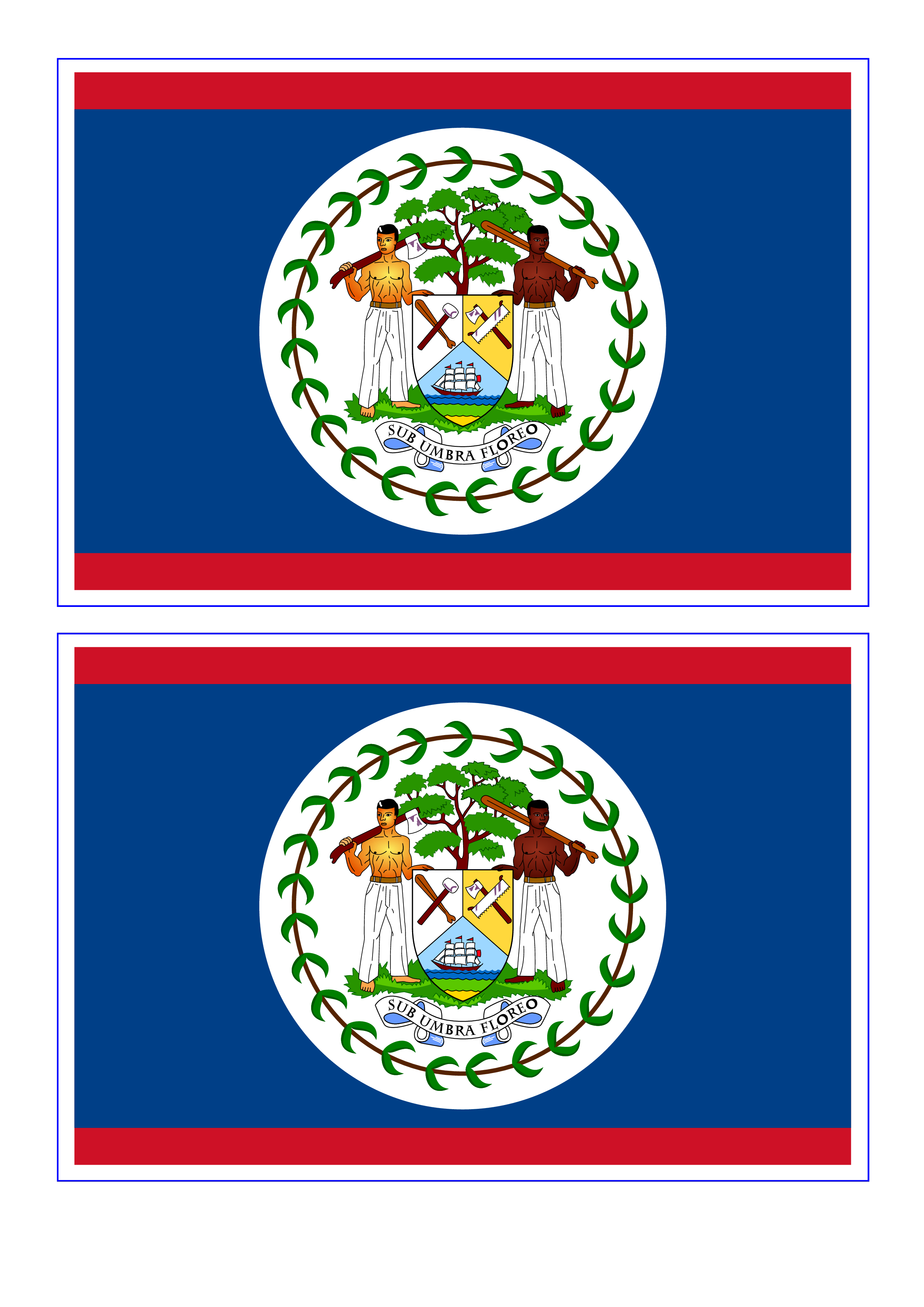 belize flag template