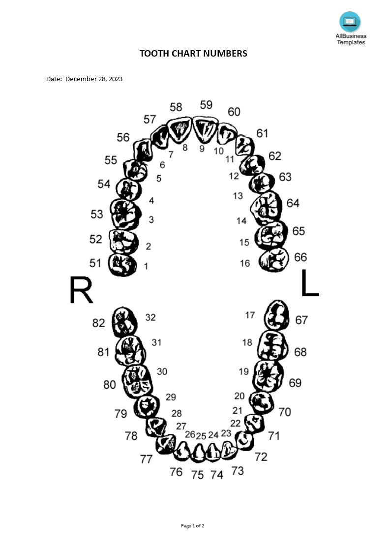 tooth chart numbers voorbeeld afbeelding 