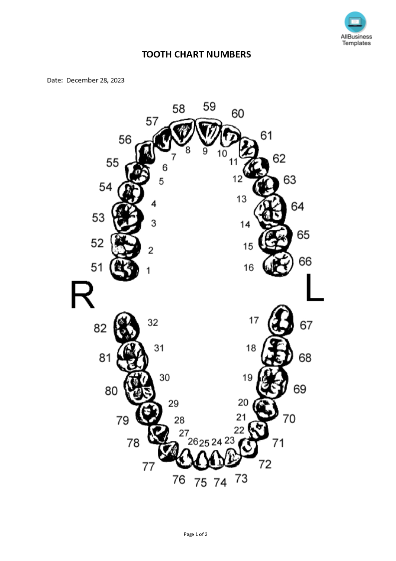 Tooth Chart Numbers 模板