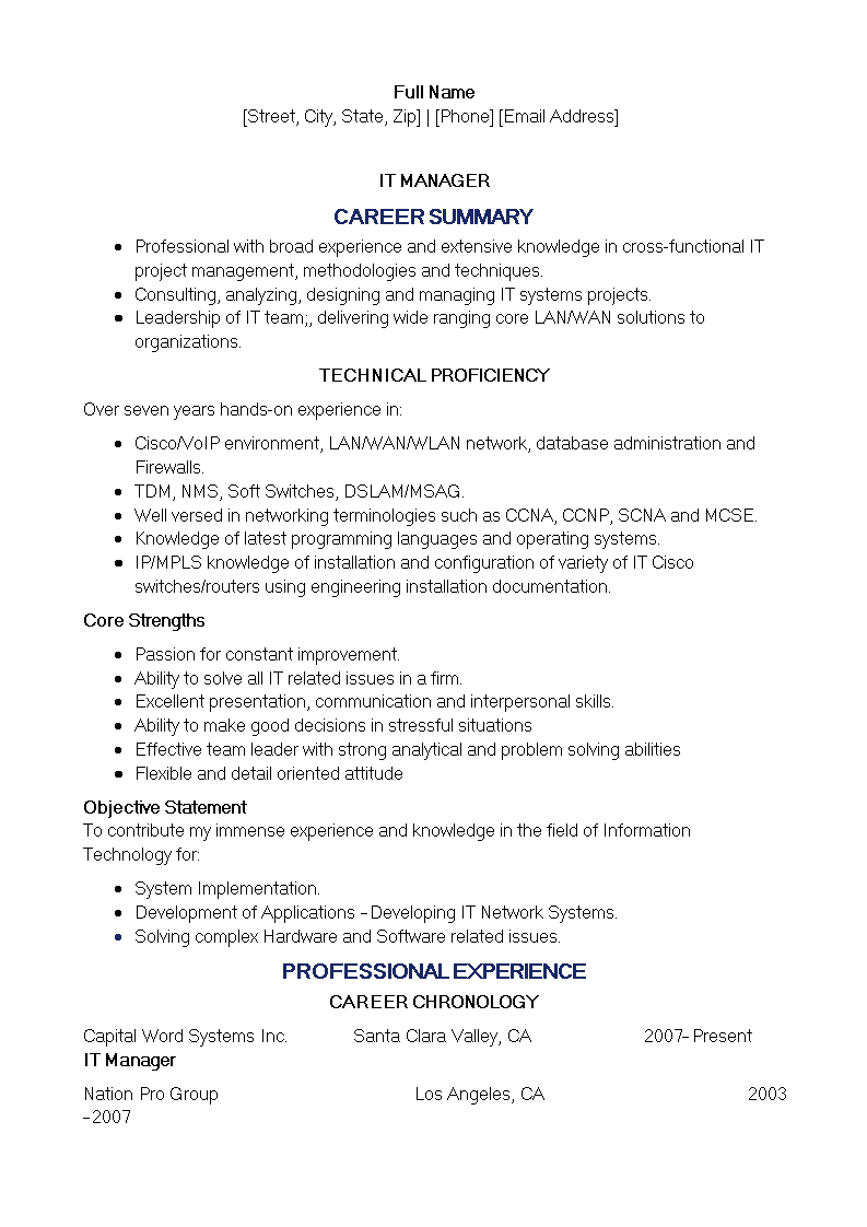 Professional IT Manager Resume main image
