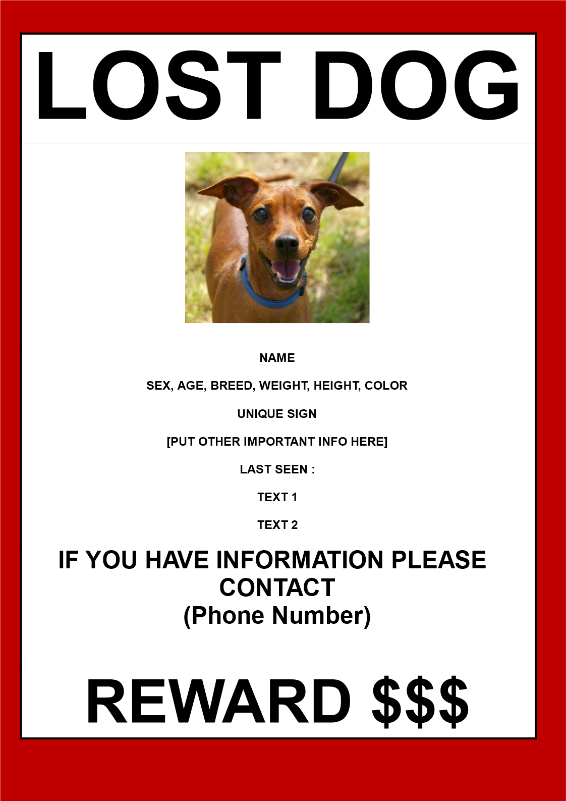 find lost dog poster in a3 size plantilla imagen principal