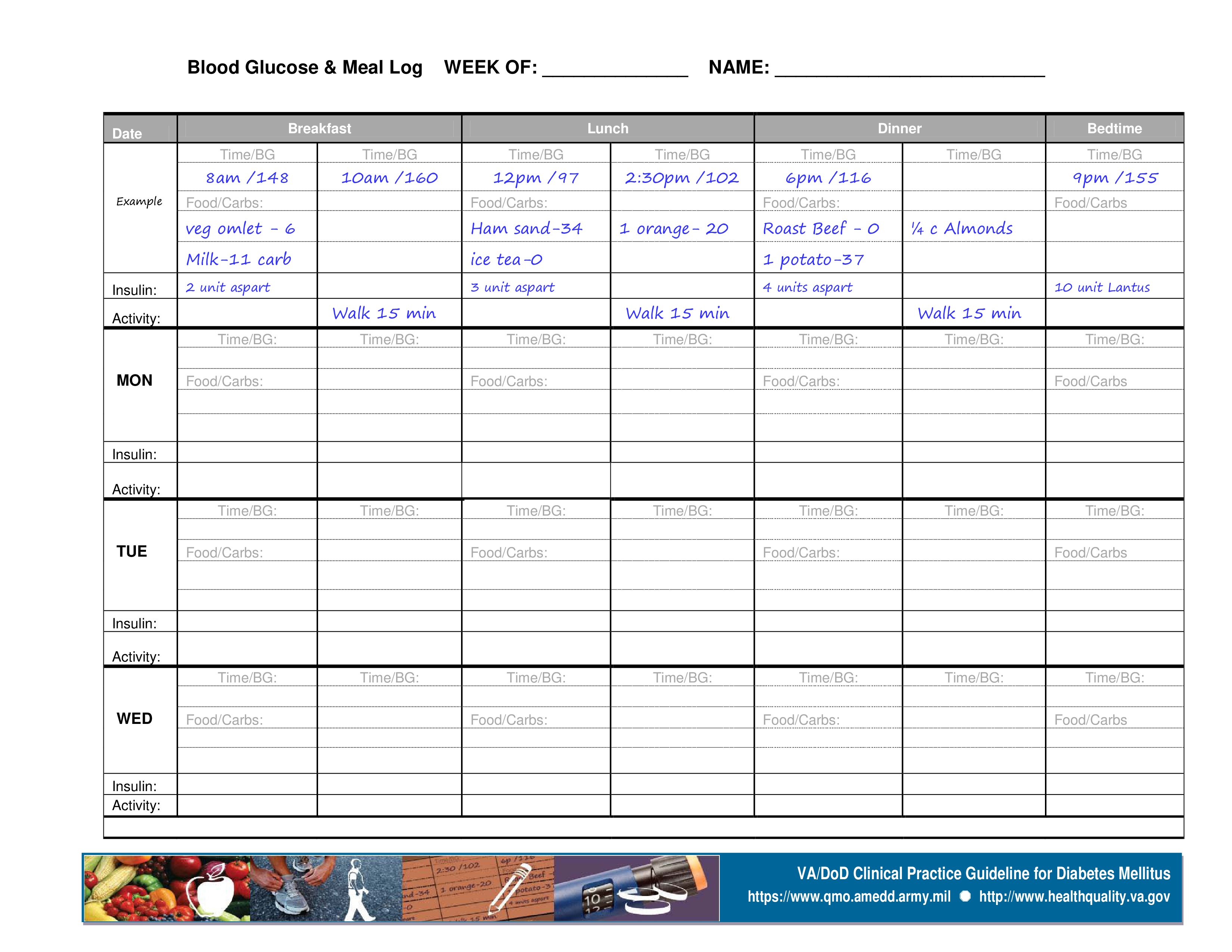 blood glucose & meal log plantilla imagen principal