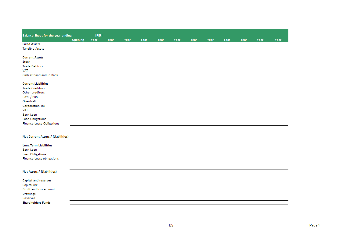 Balance Sheet sample 模板