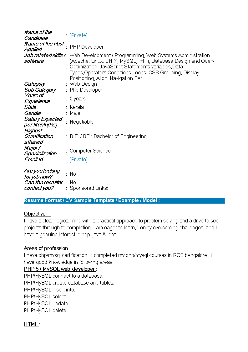 Php Fresher Resume Format main image