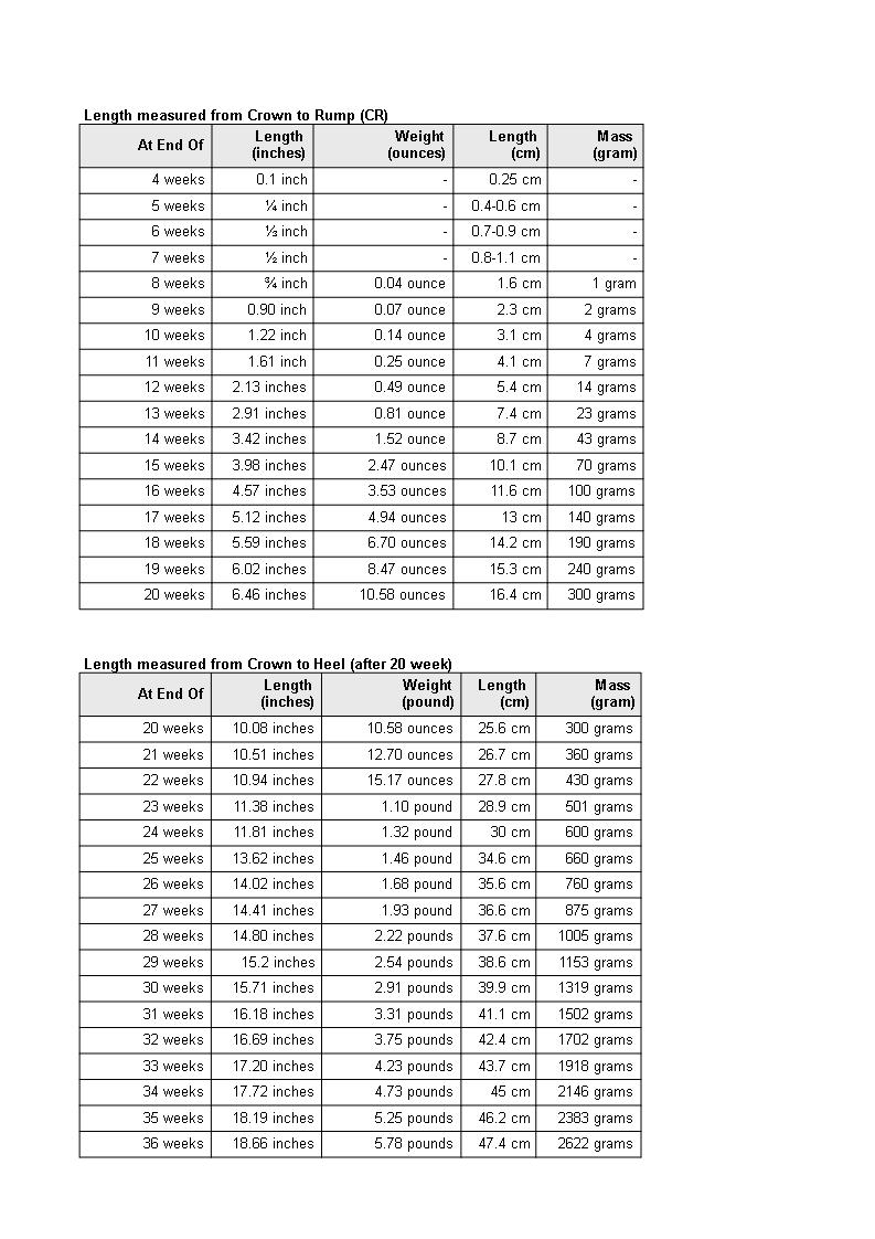 Embryo Weight Chart