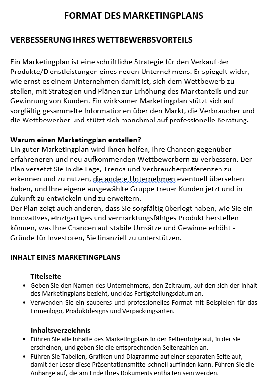 Marketing-Geschäftsplan 模板