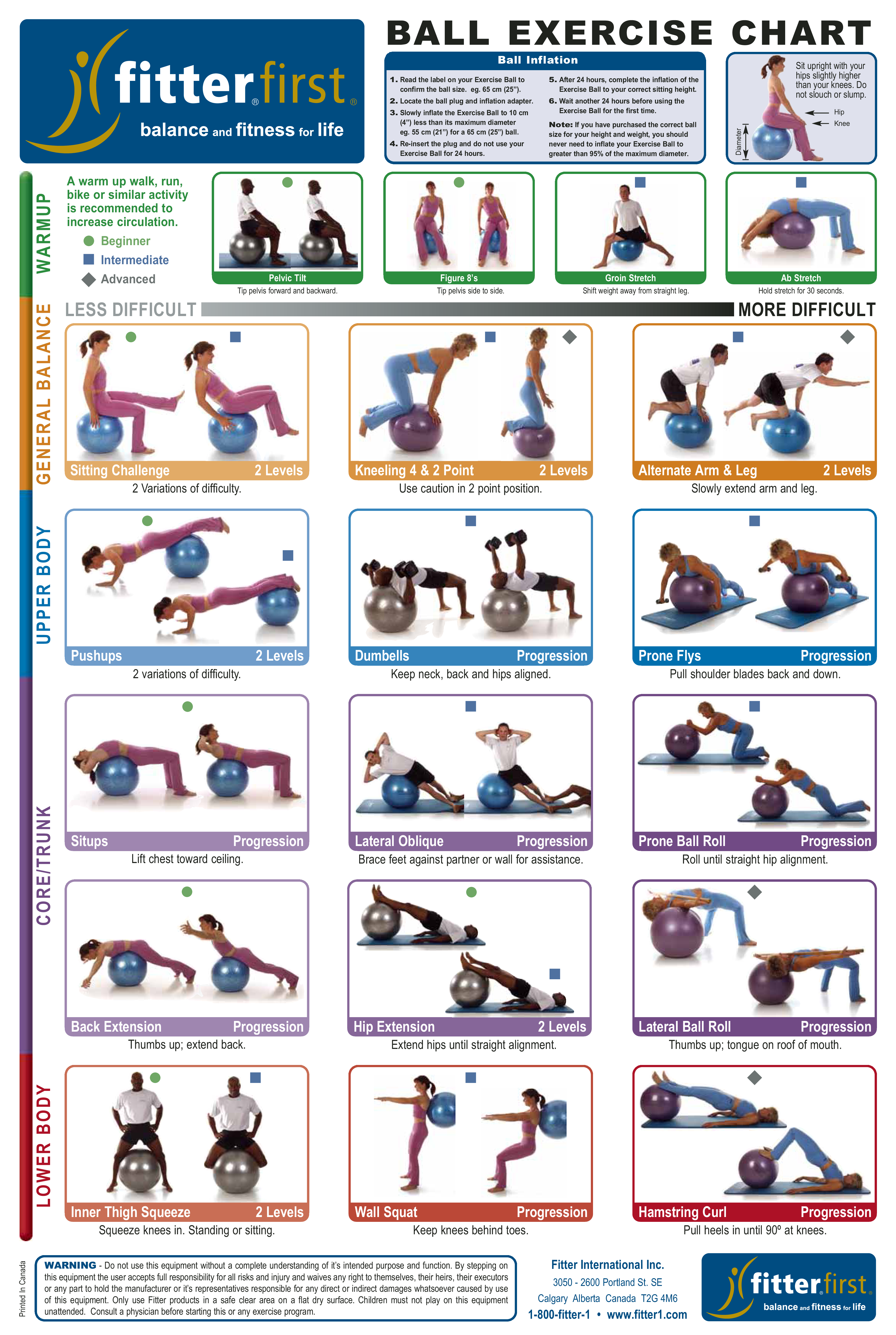 Ball Exercise Chart main image