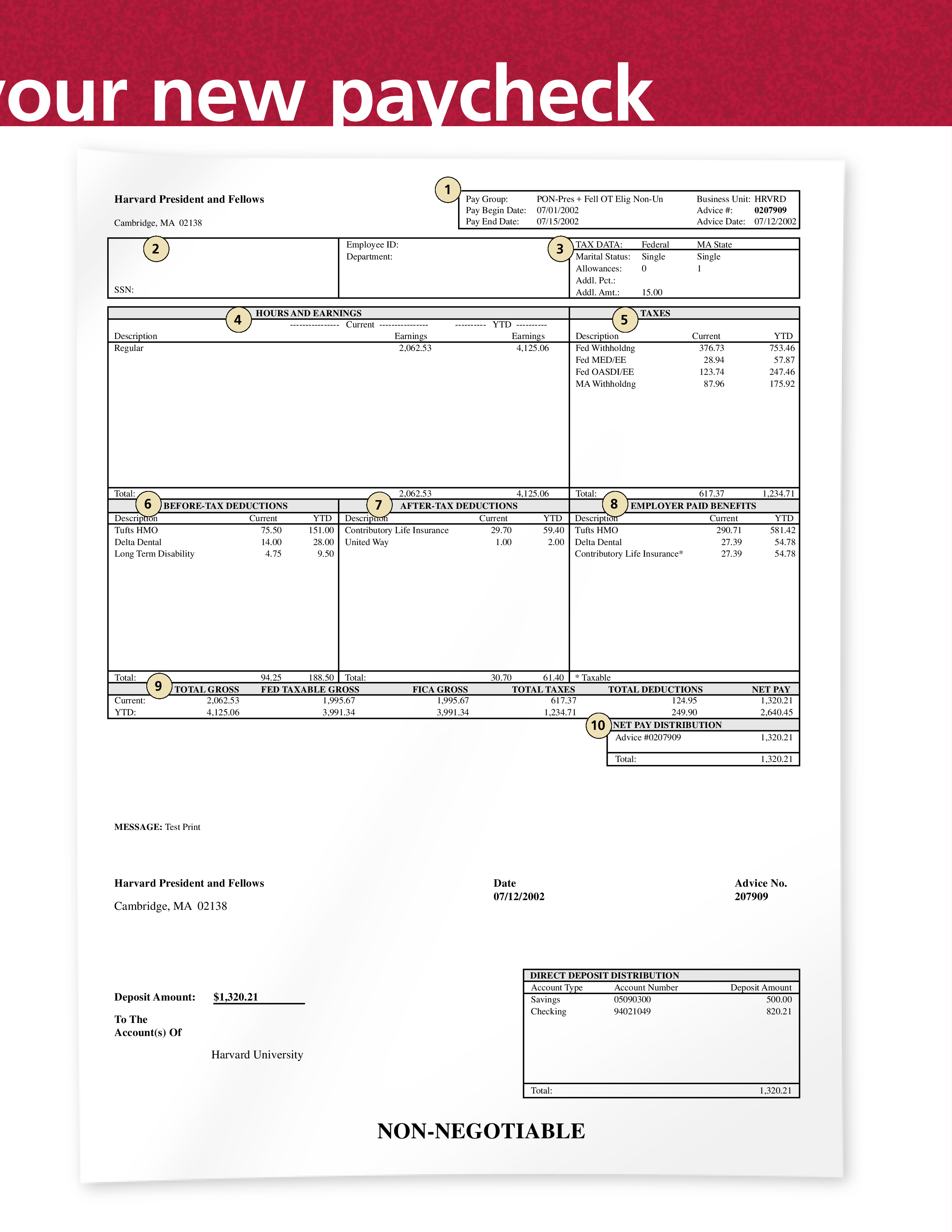 paycheck explanation template