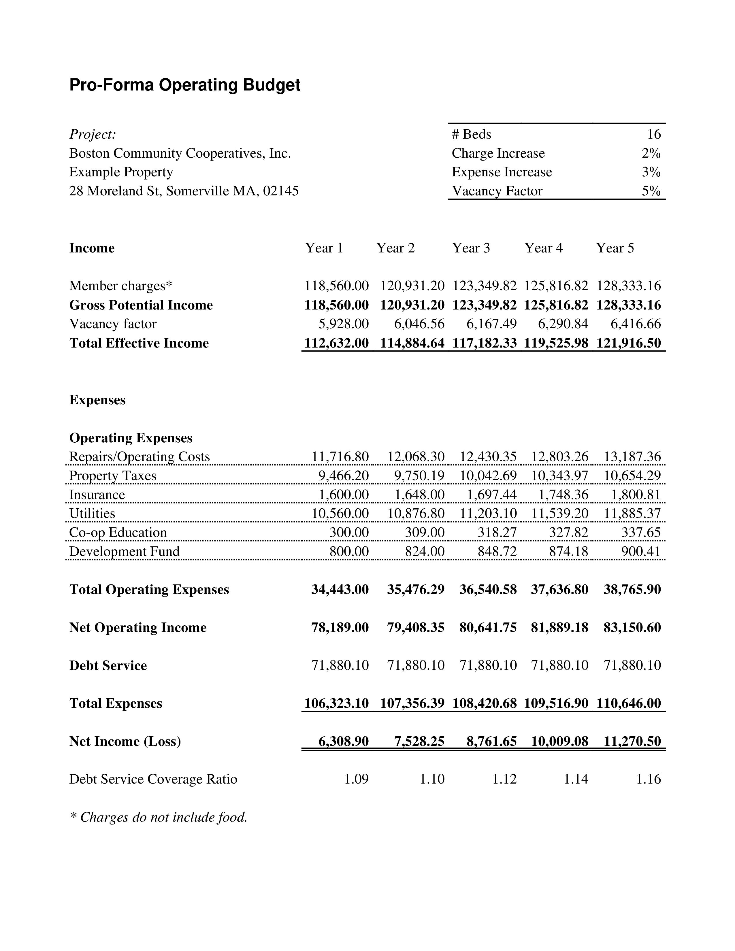 Pro Forma Operating Budget main image