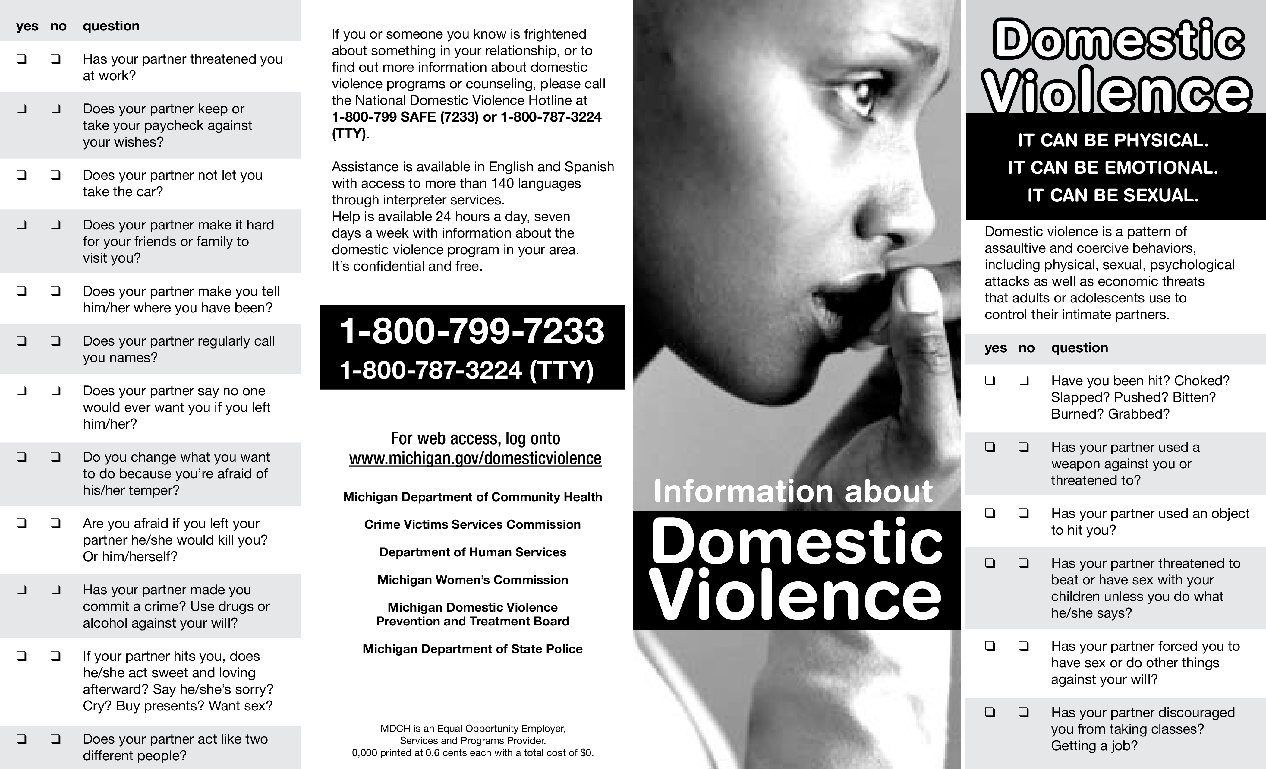 Domestic Violence Pamphlet Brochure