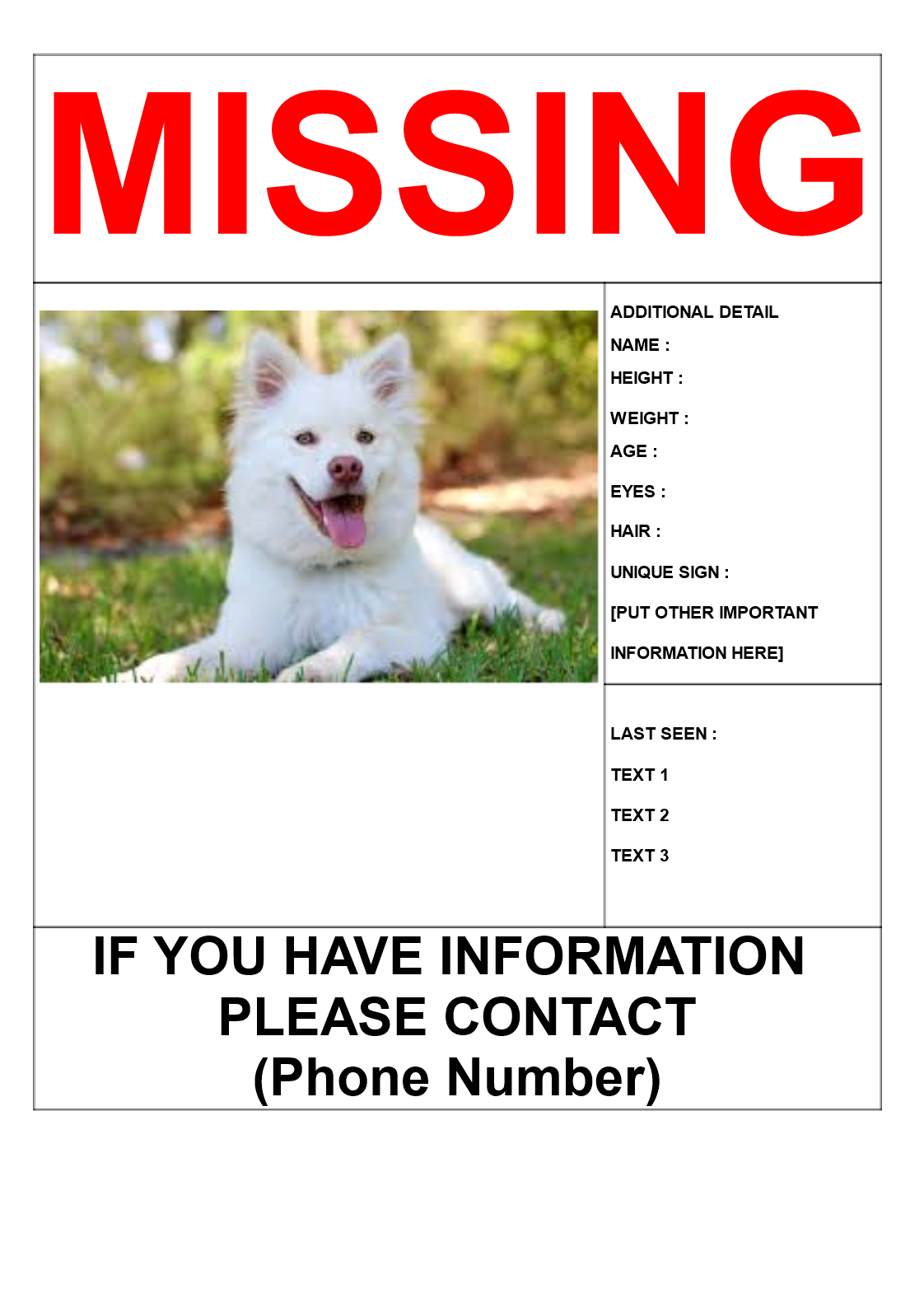 missing pet poster template voorbeeld afbeelding 