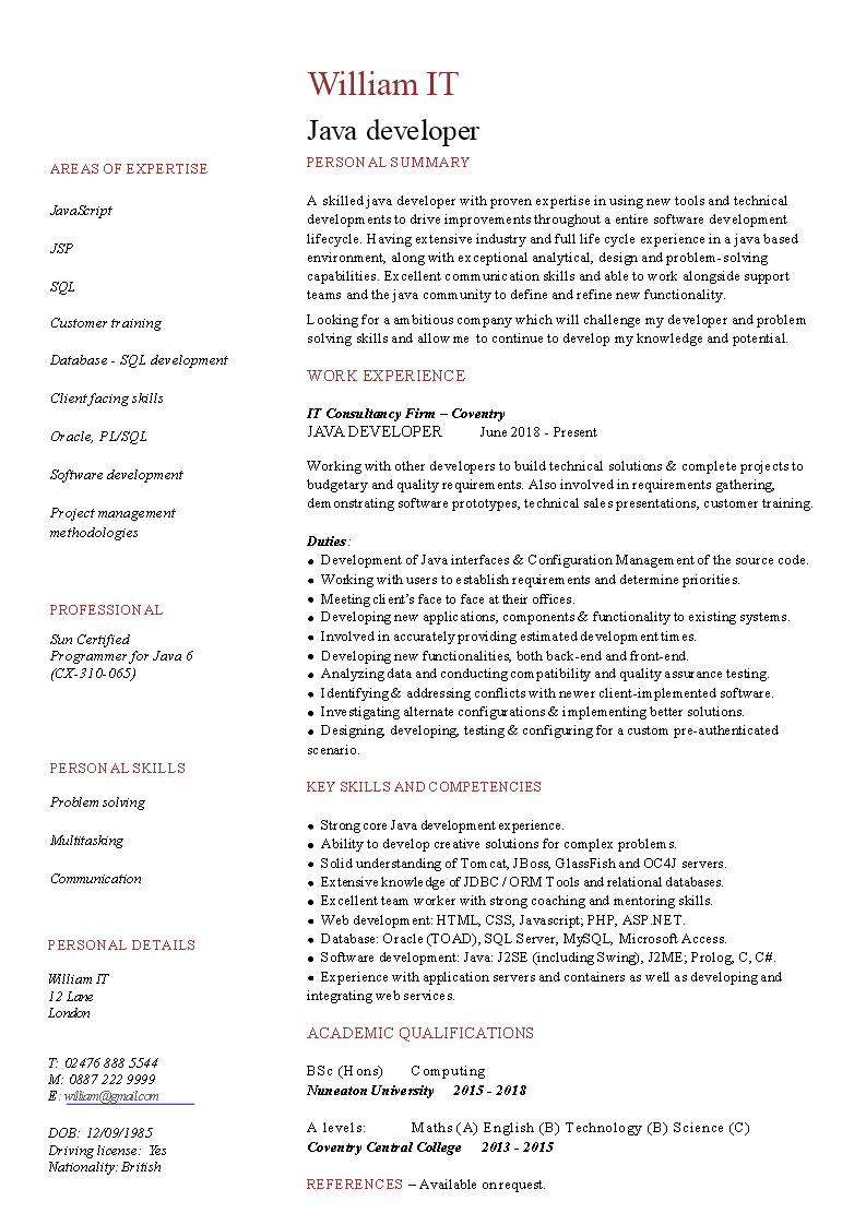 java developer curriculum vitae template