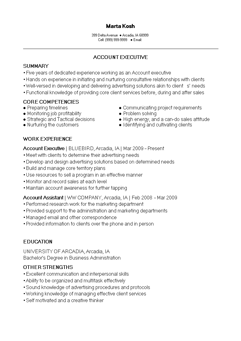 sales account executive resume sample modèles