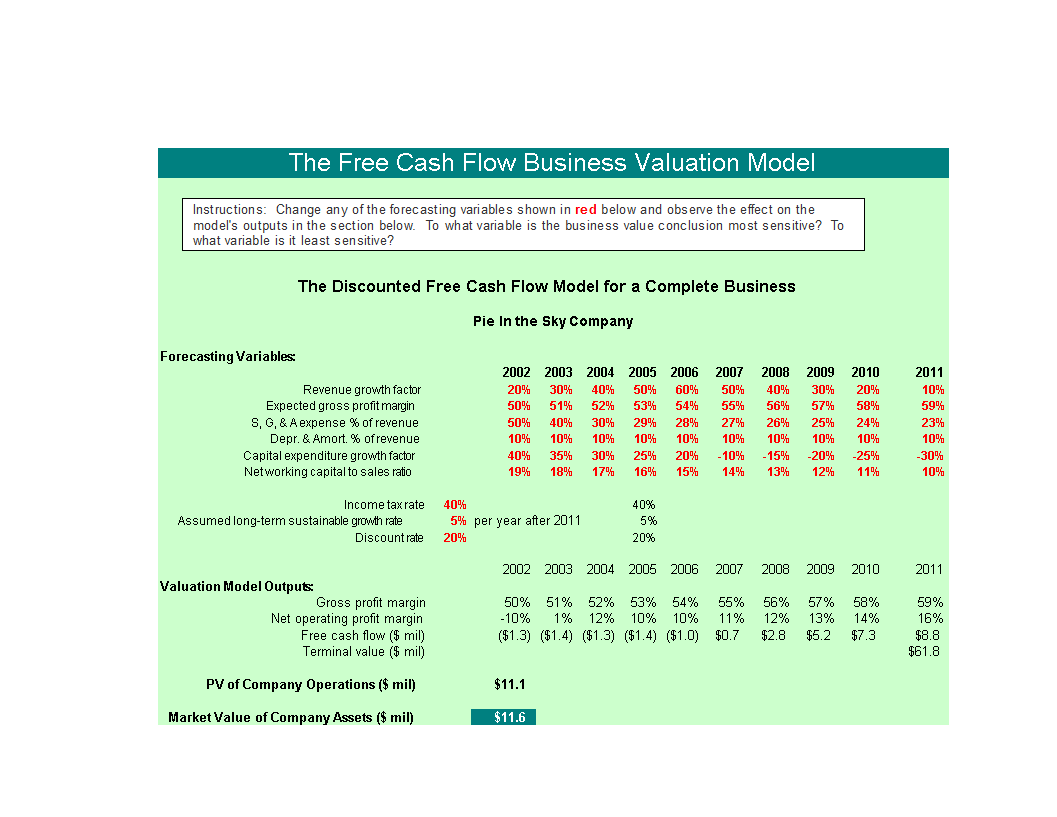 discounted cash flow company valuation template