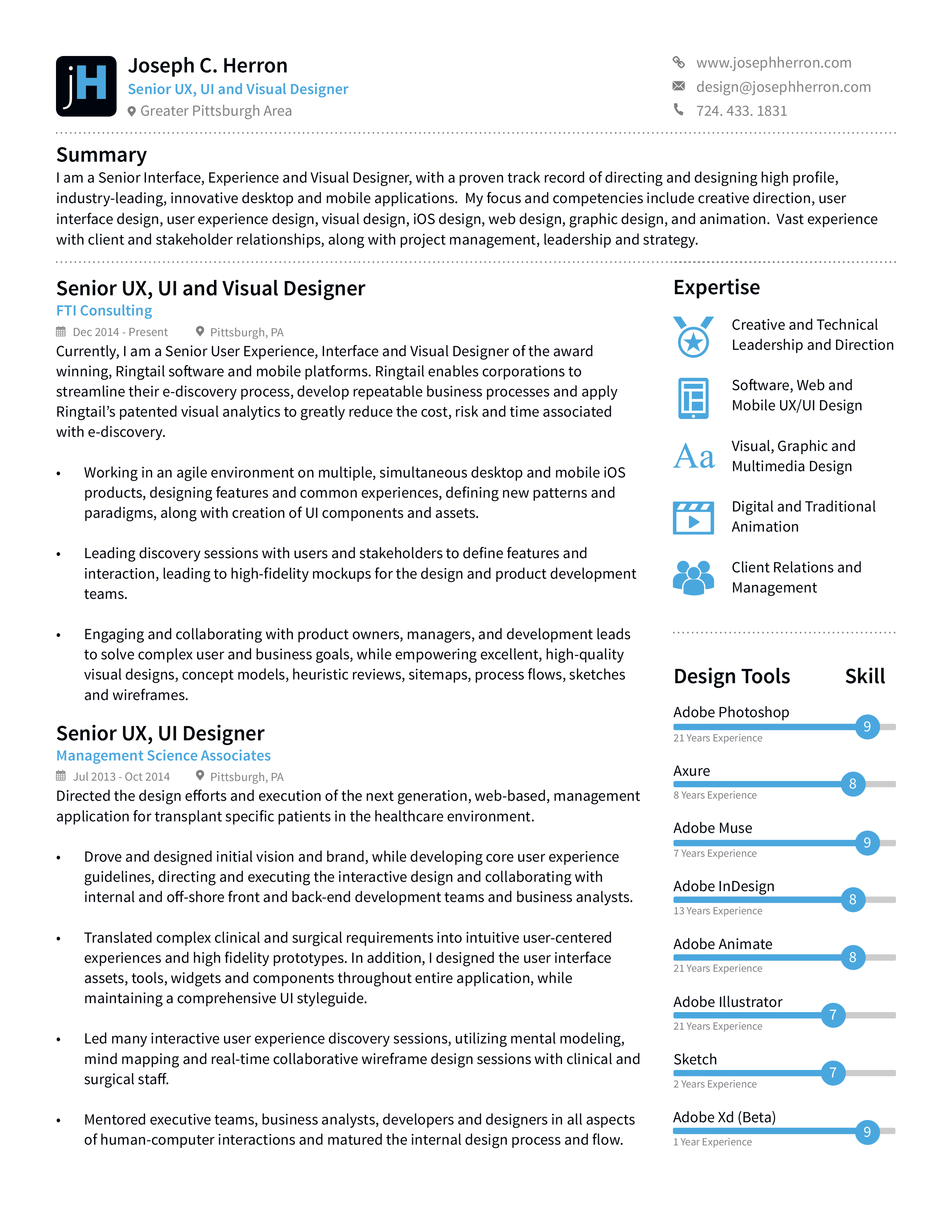 visual ux designer resume voorbeeld afbeelding 