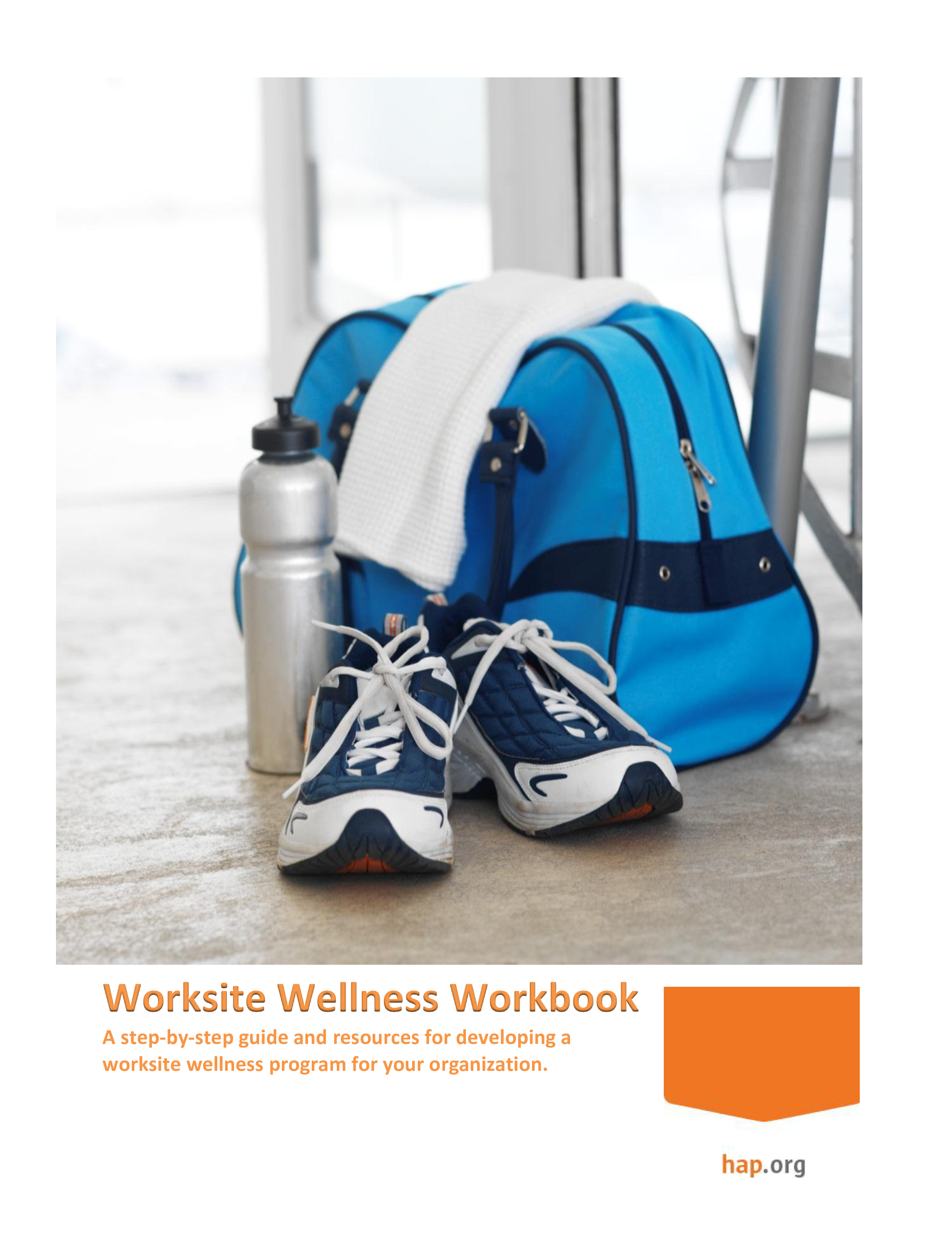 wellness program budget voorbeeld afbeelding 