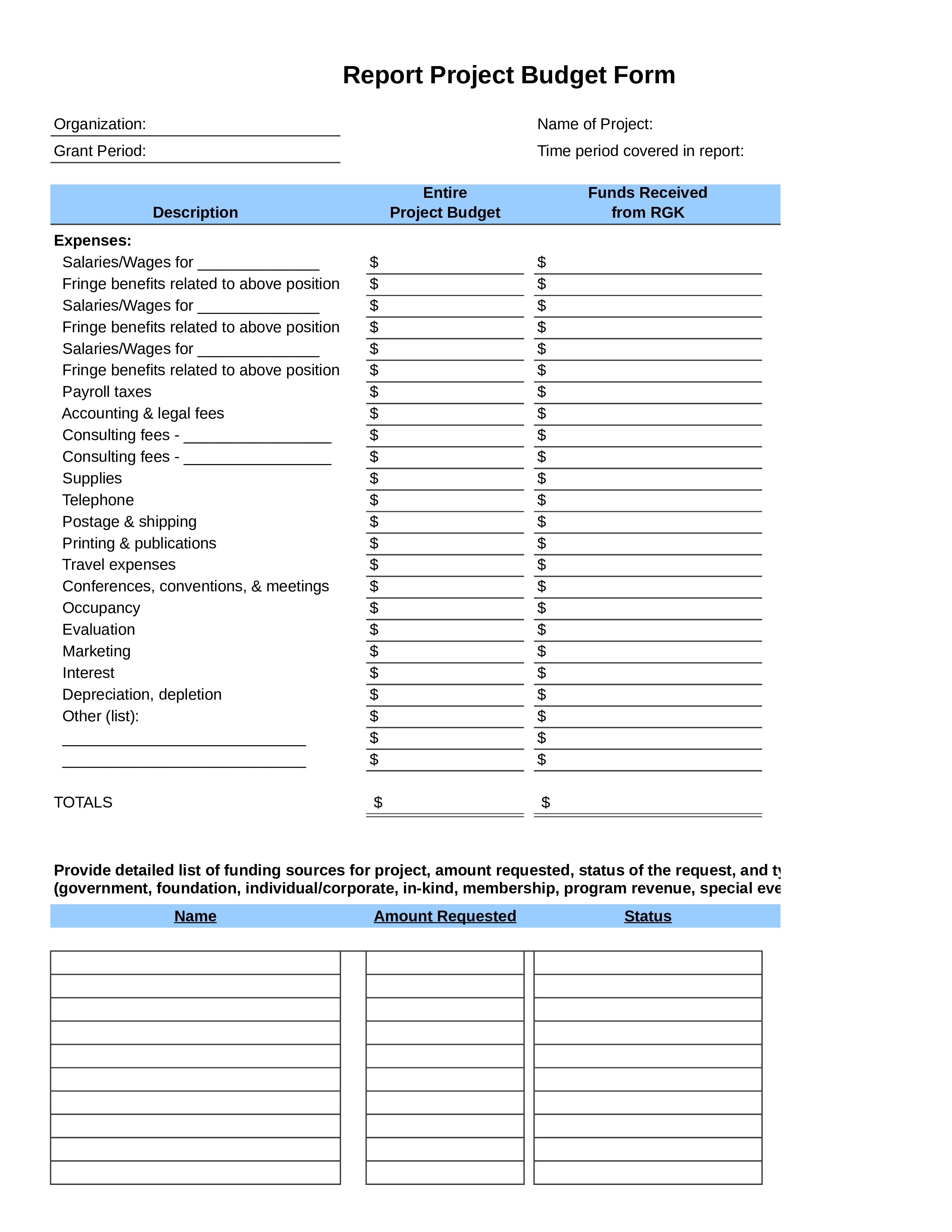 Report Project Budget PDF Form 模板