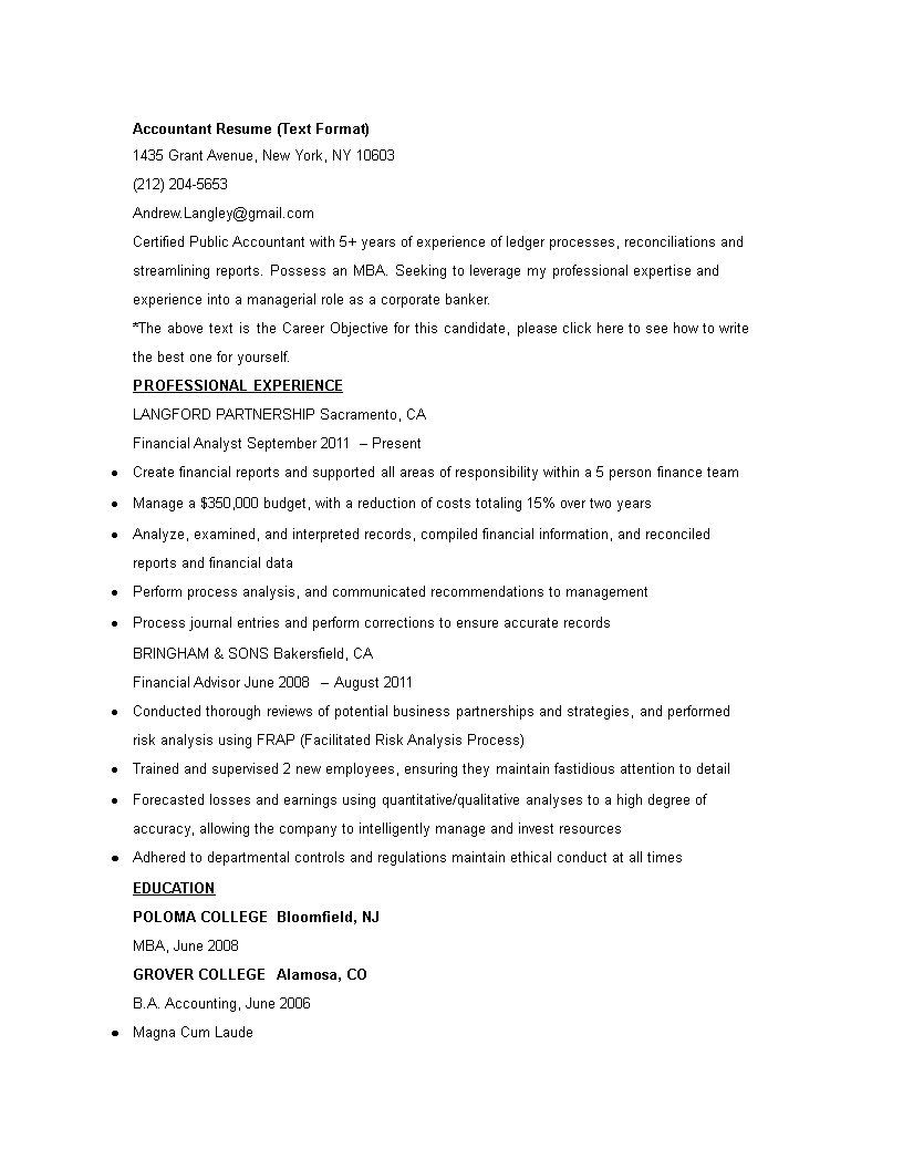 accountant job resume format Hauptschablonenbild