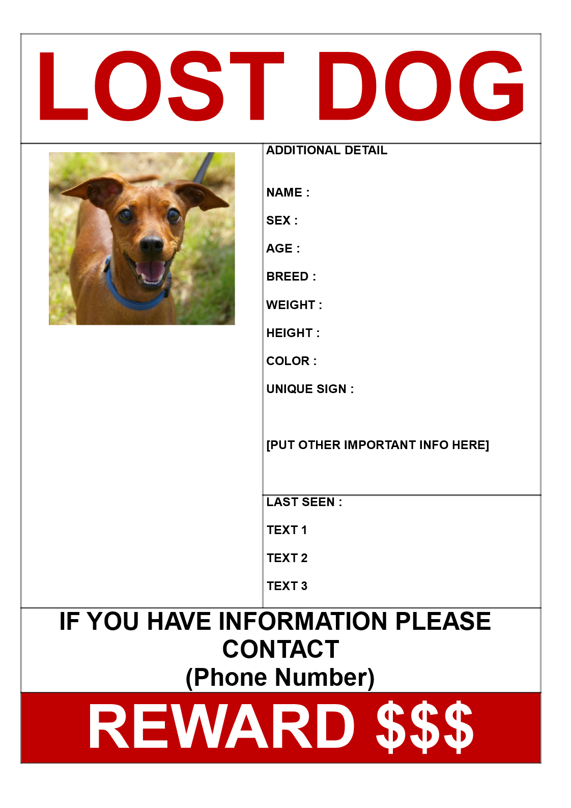 find lost dog get reward poster a3 voorbeeld afbeelding 