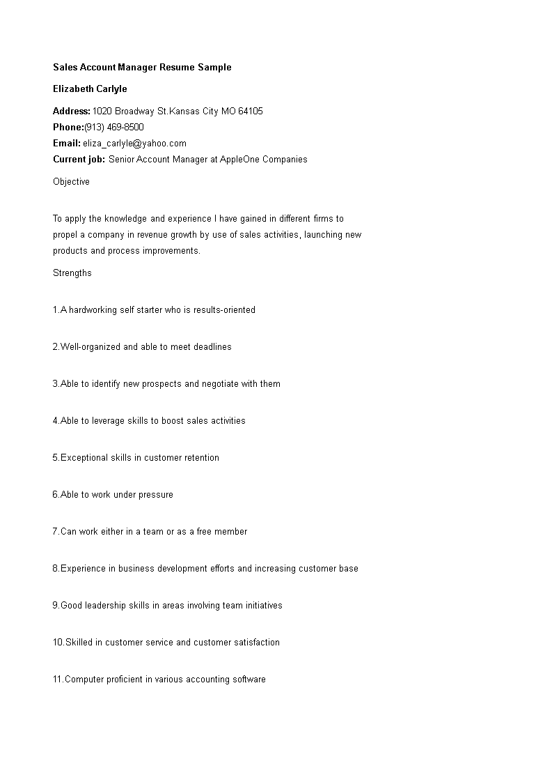 Sales Account Manager Resume Sample 模板