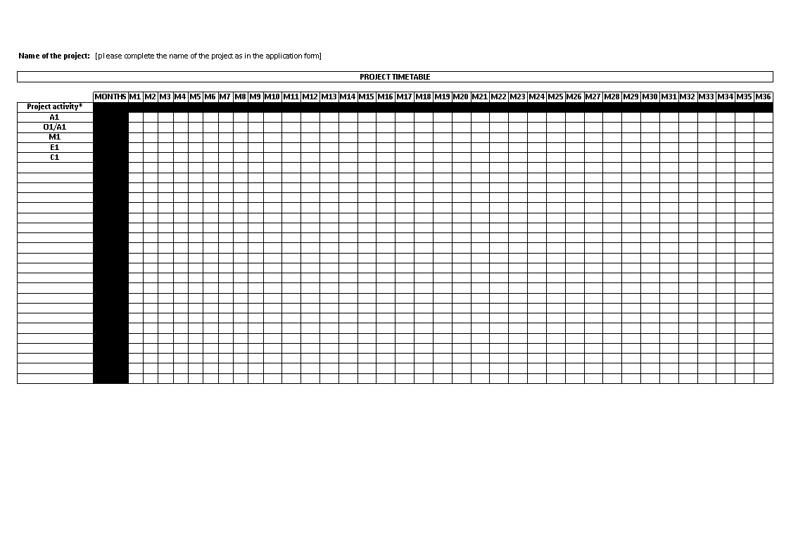 excel monthly timeline template
