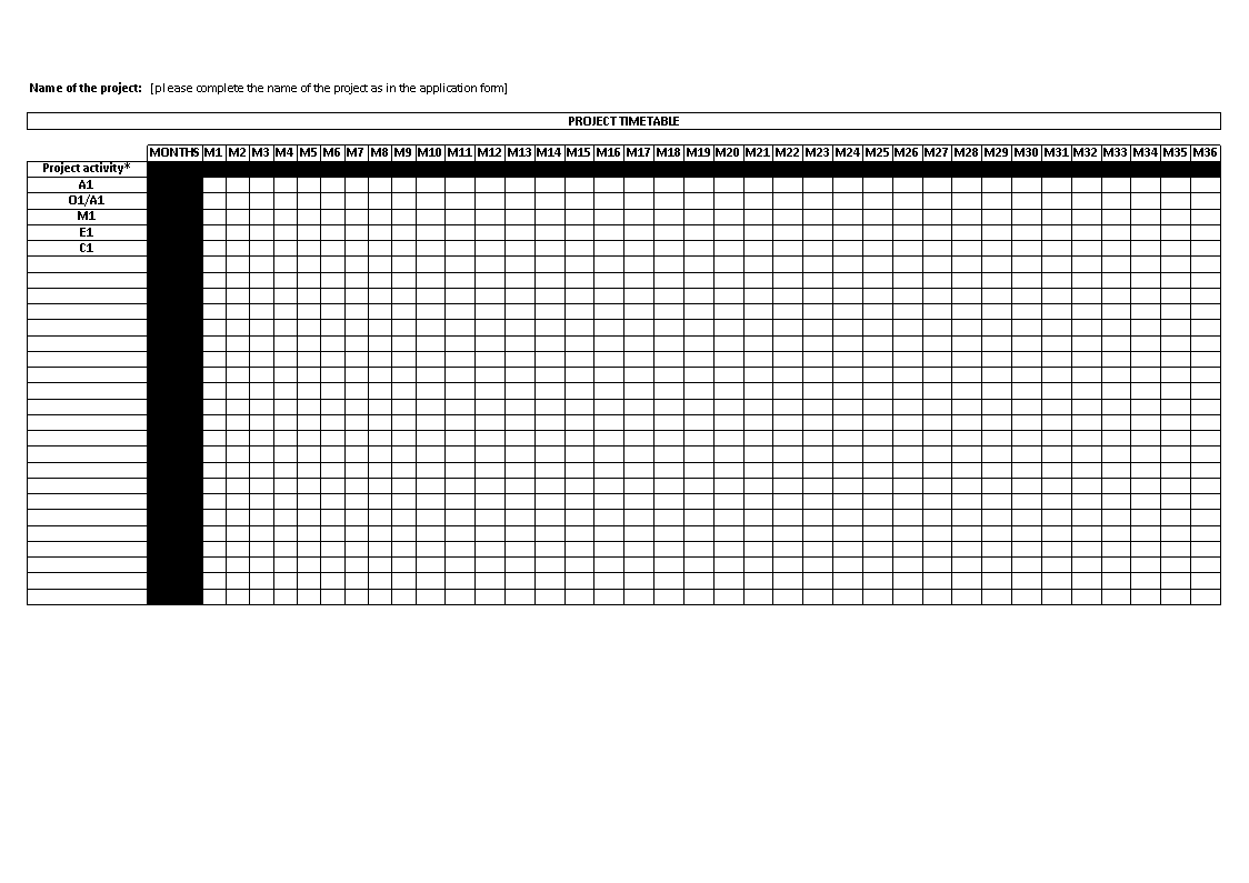 excel monthly timeline voorbeeld afbeelding 