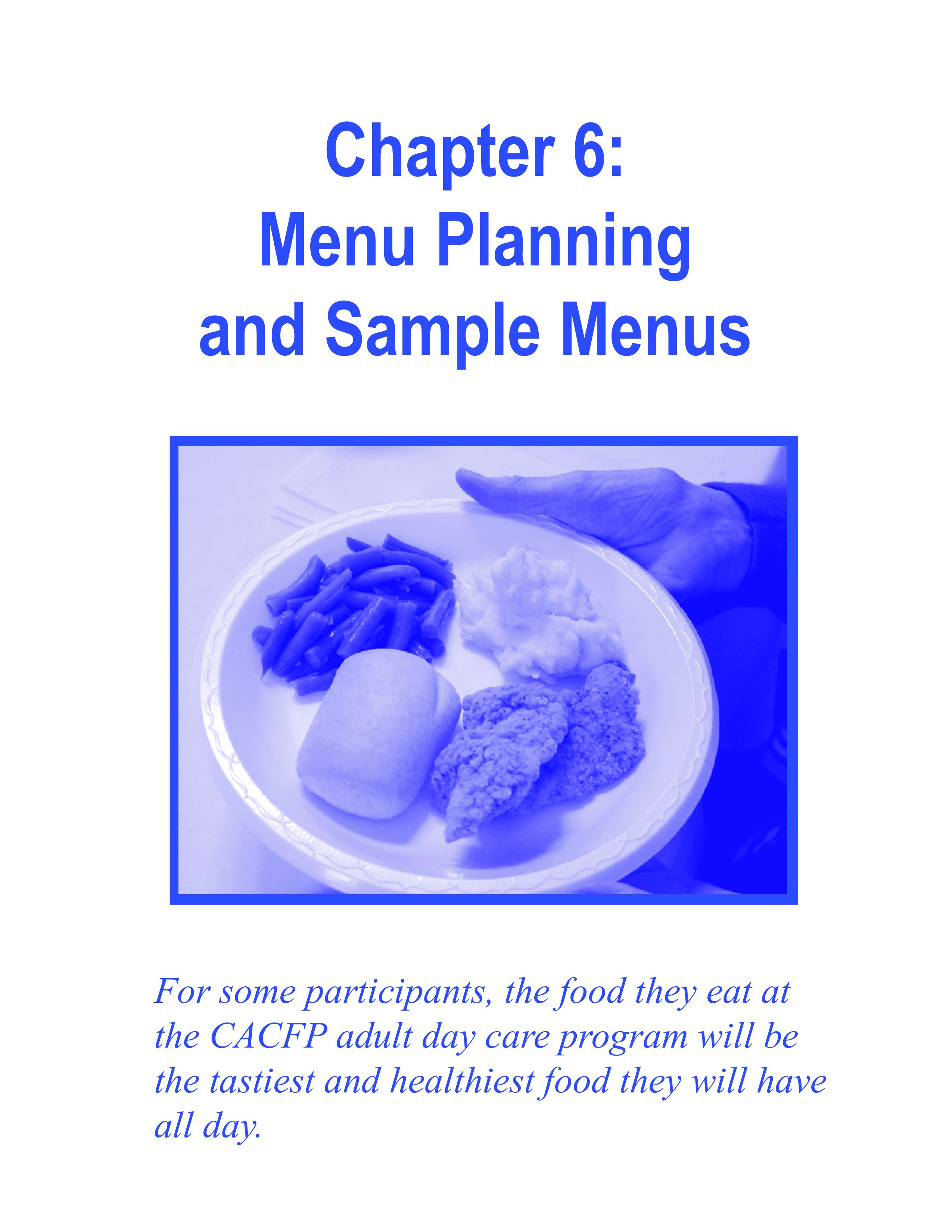 daycare meal plan template