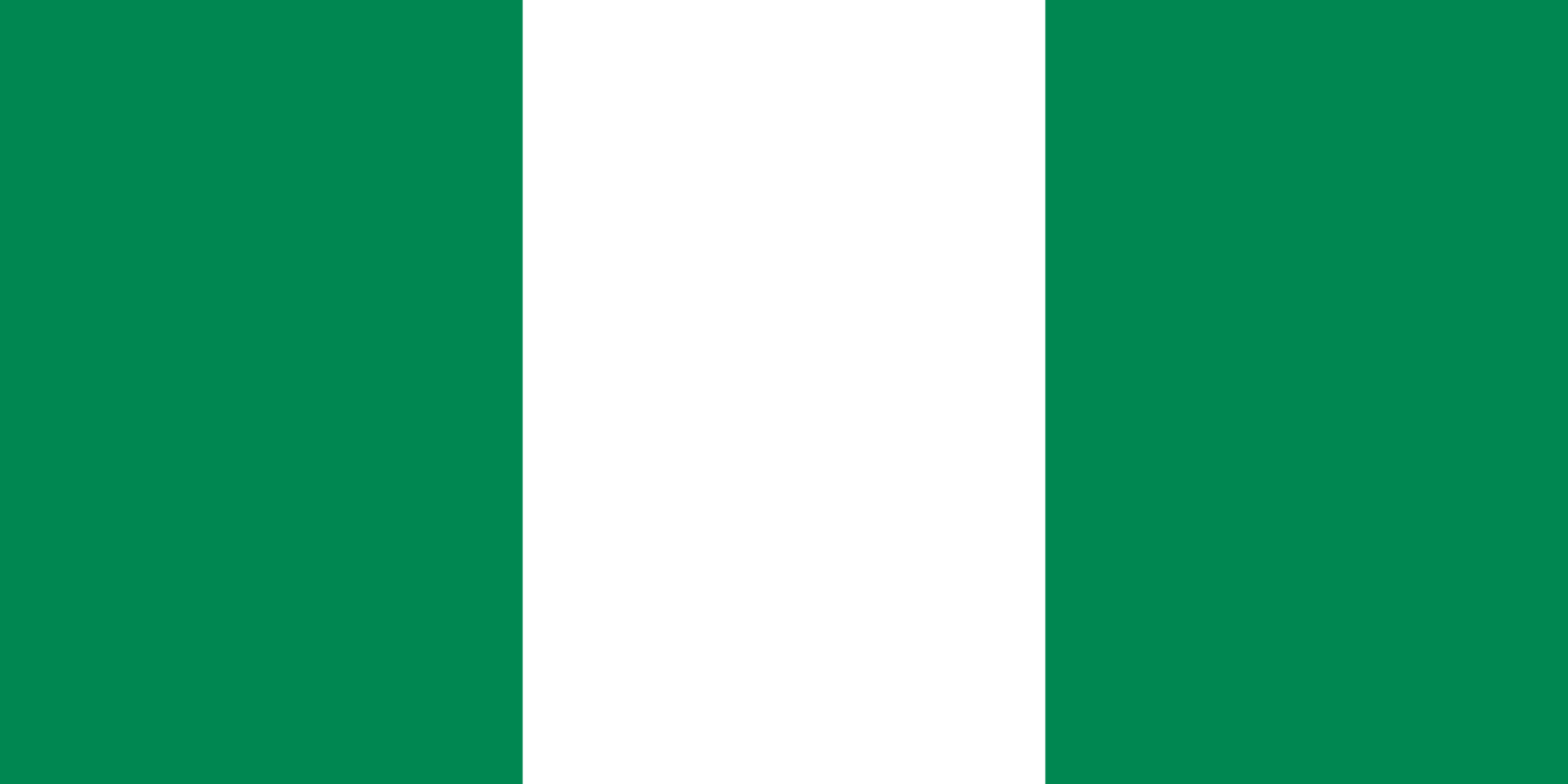 nigeria flag voorbeeld afbeelding 