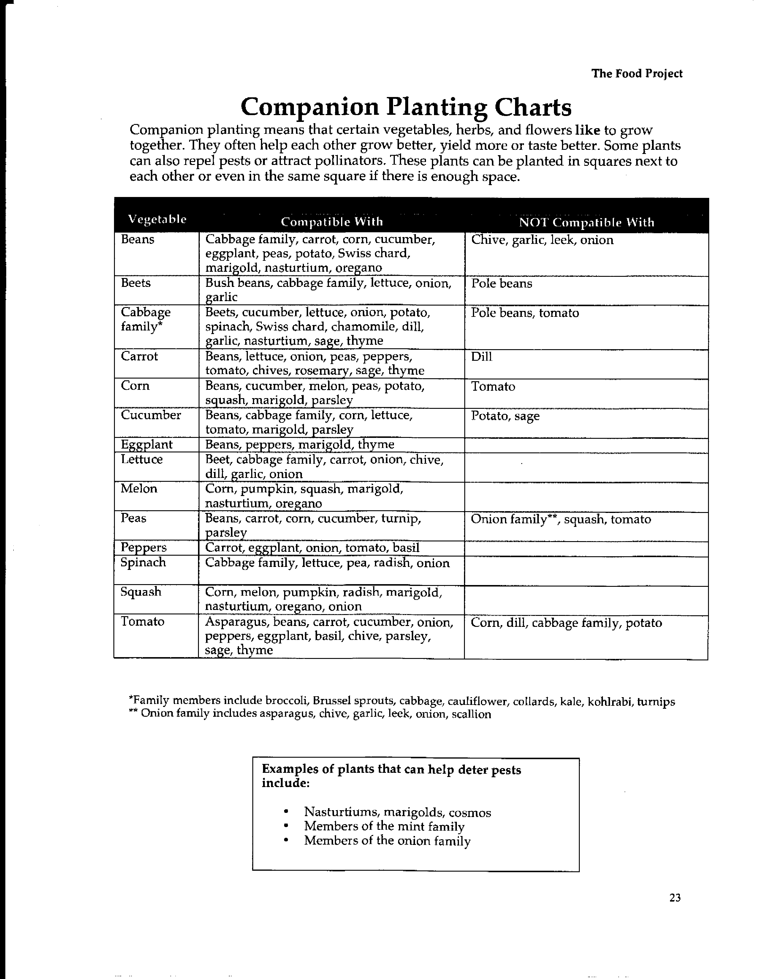 Basic Companion Planting Chart 模板