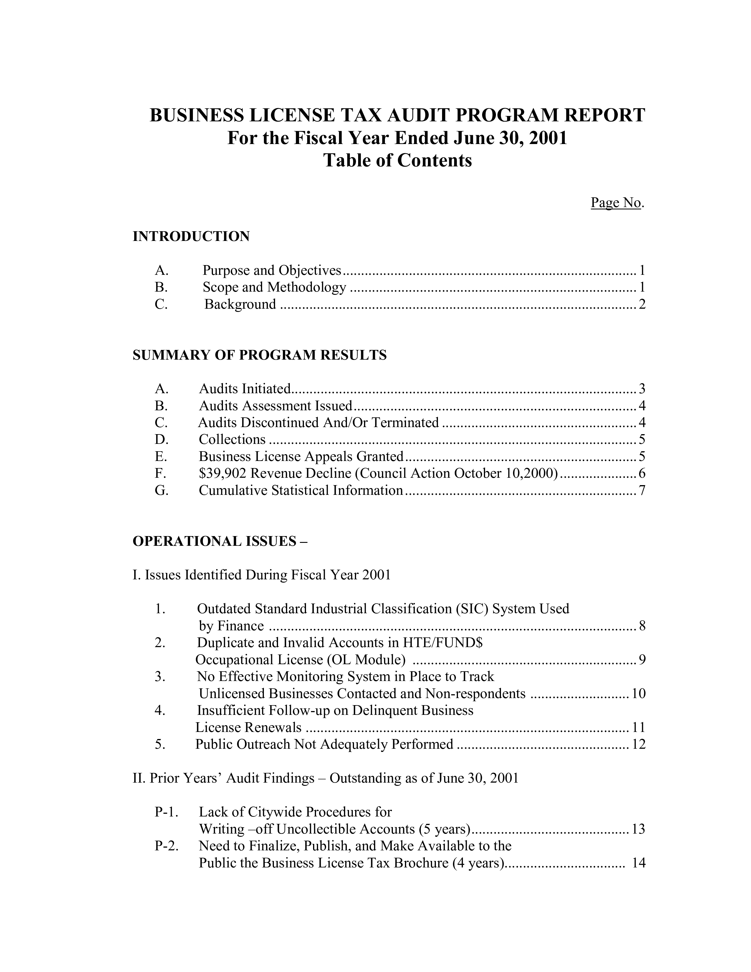 business license tax audit program report Hauptschablonenbild