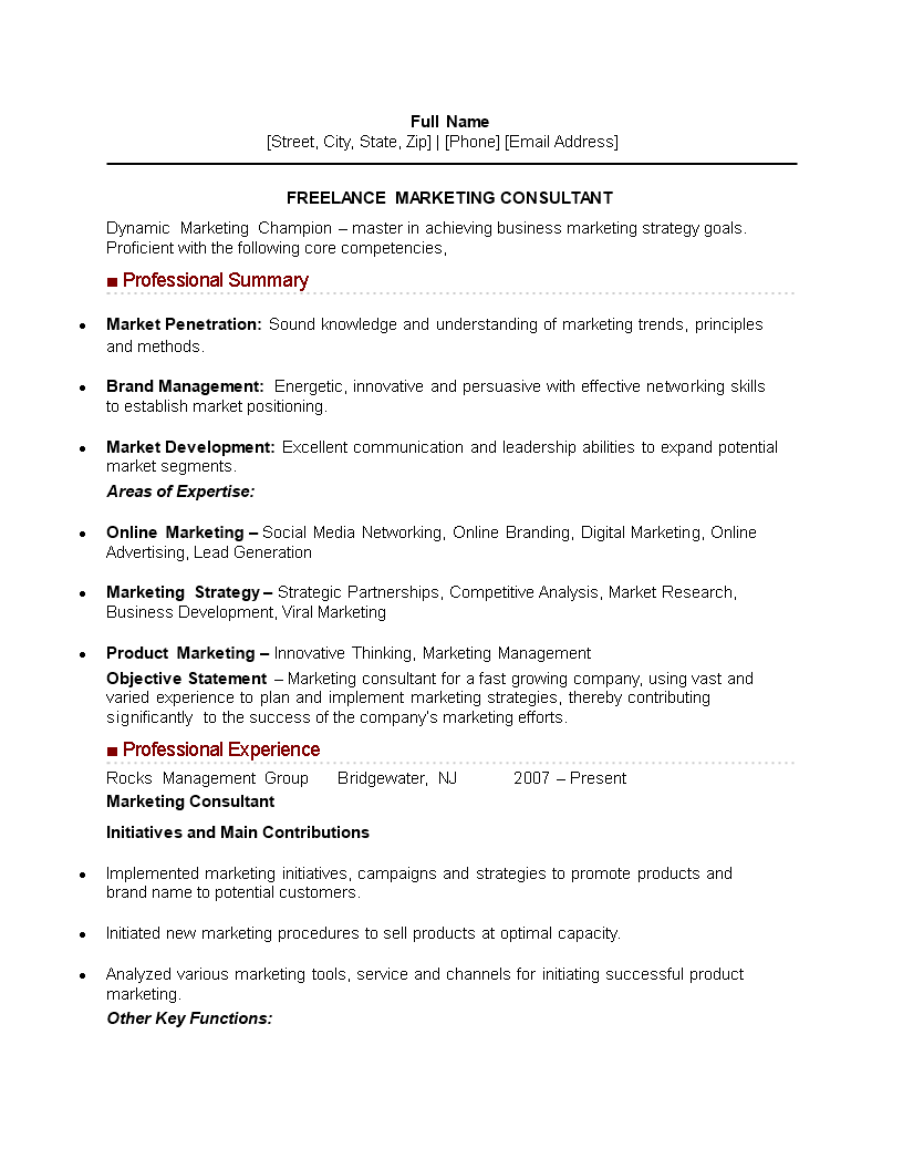 freelance marketing consultant curriculum vitae sample template