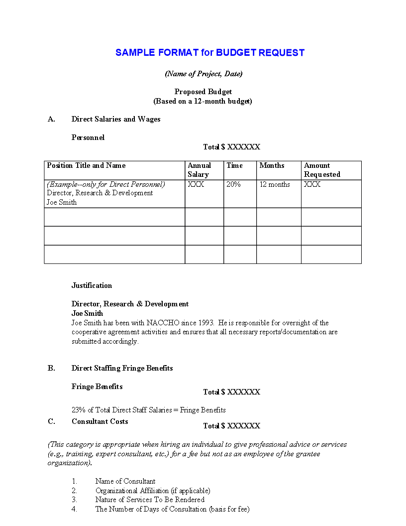 mentorship project sample budget proposal template