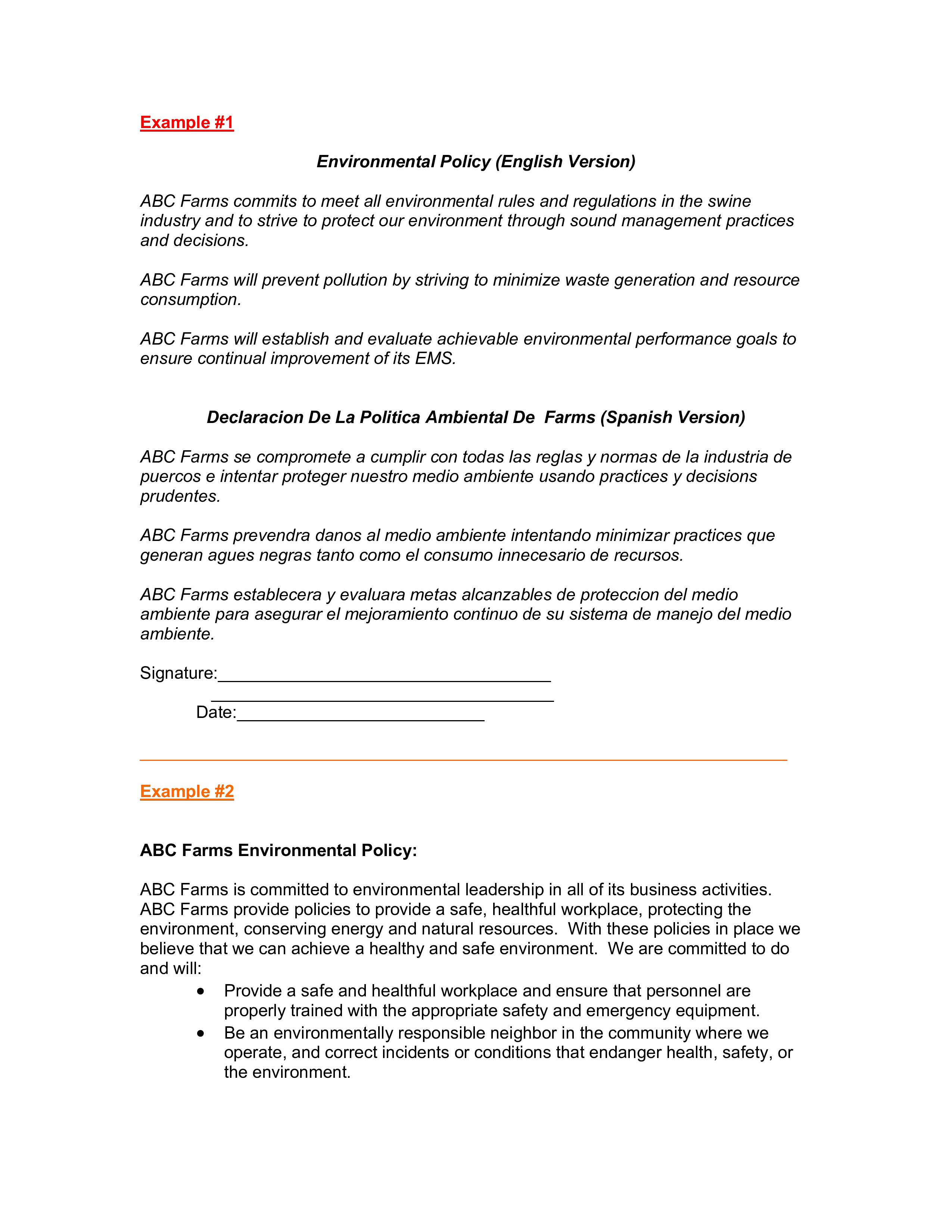 environmental policy examples template