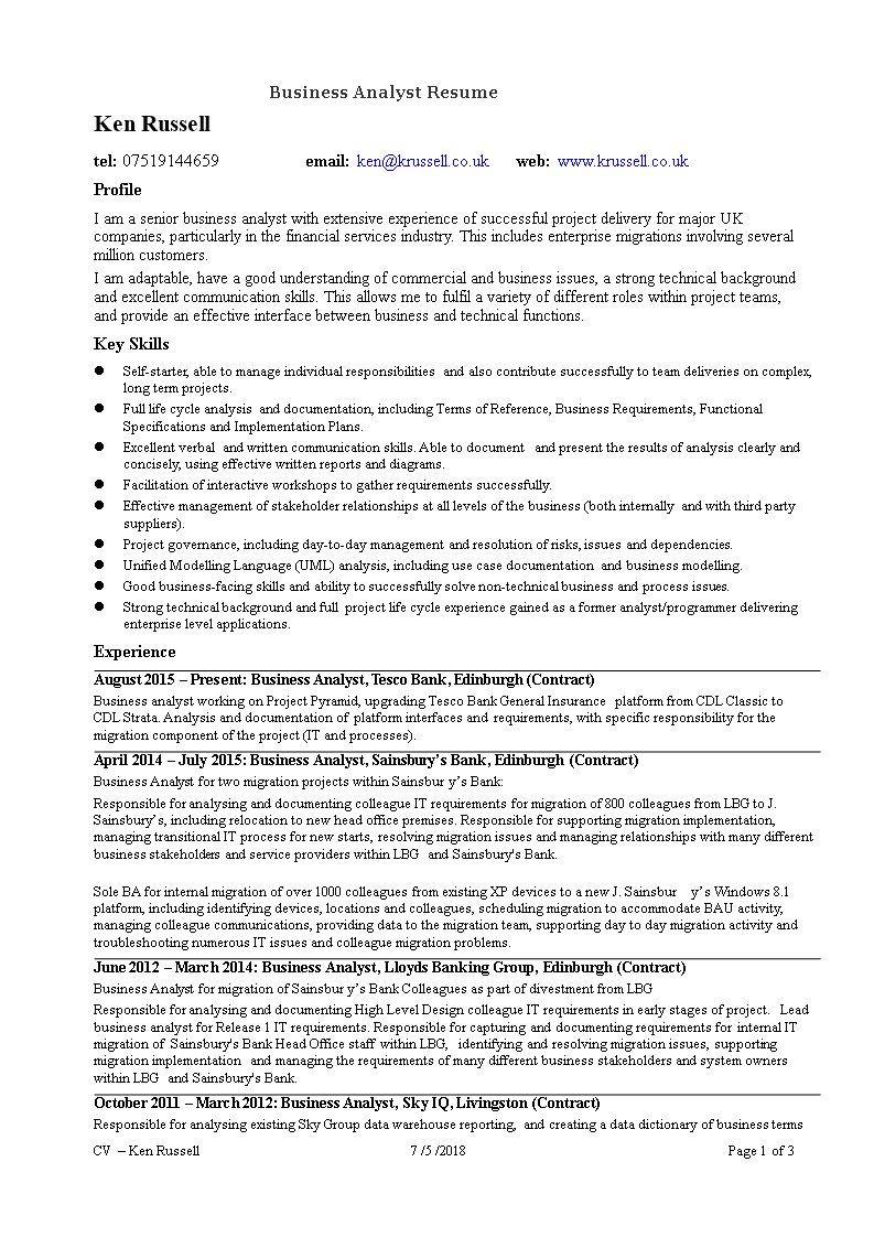 Business Analyst Curriculum Vitae example main image