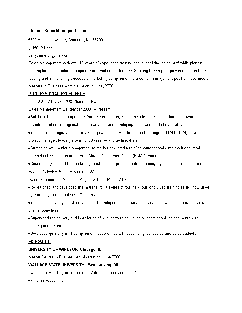 Finance Sales Manager Resume main image