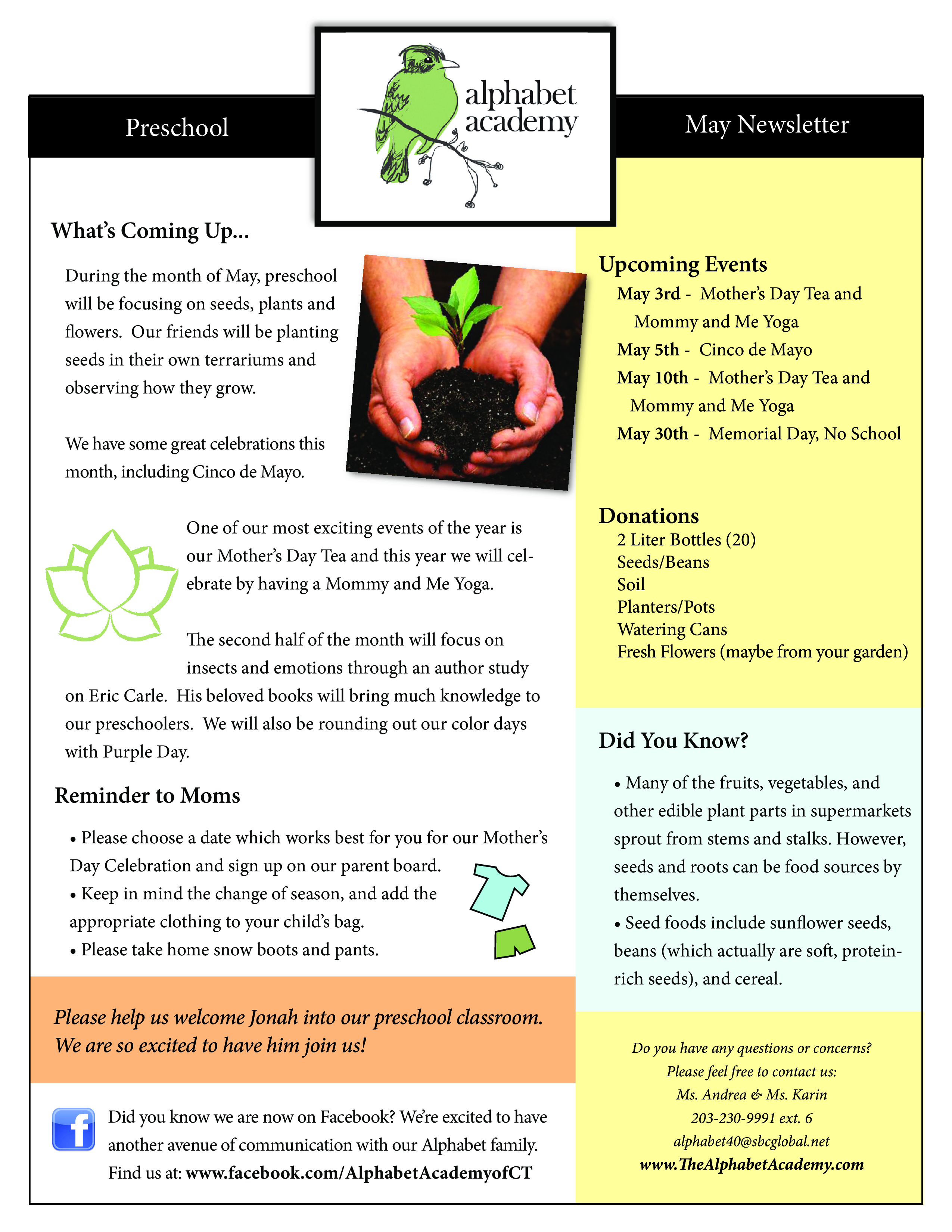 preschool newsletter samples plantilla imagen principal