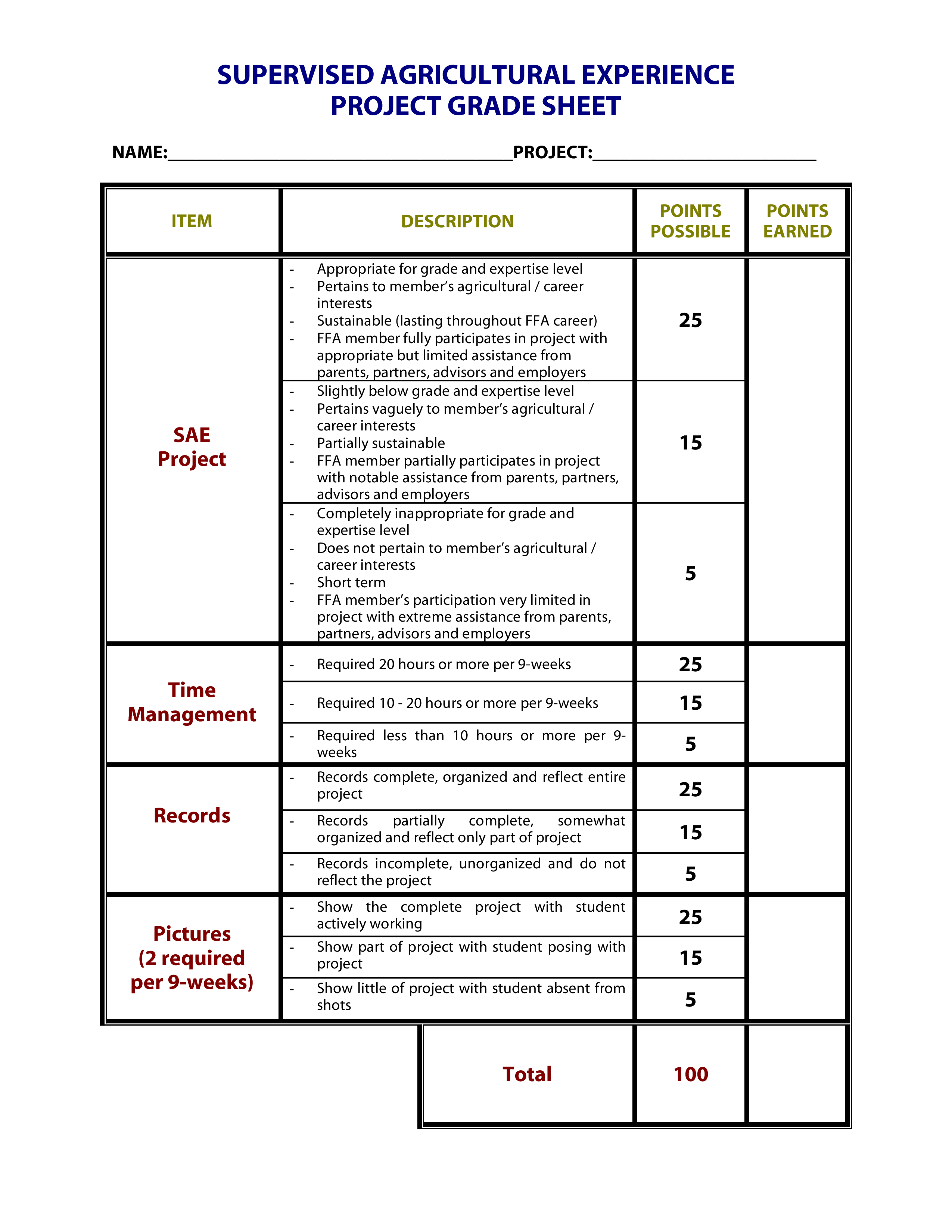 project grade template