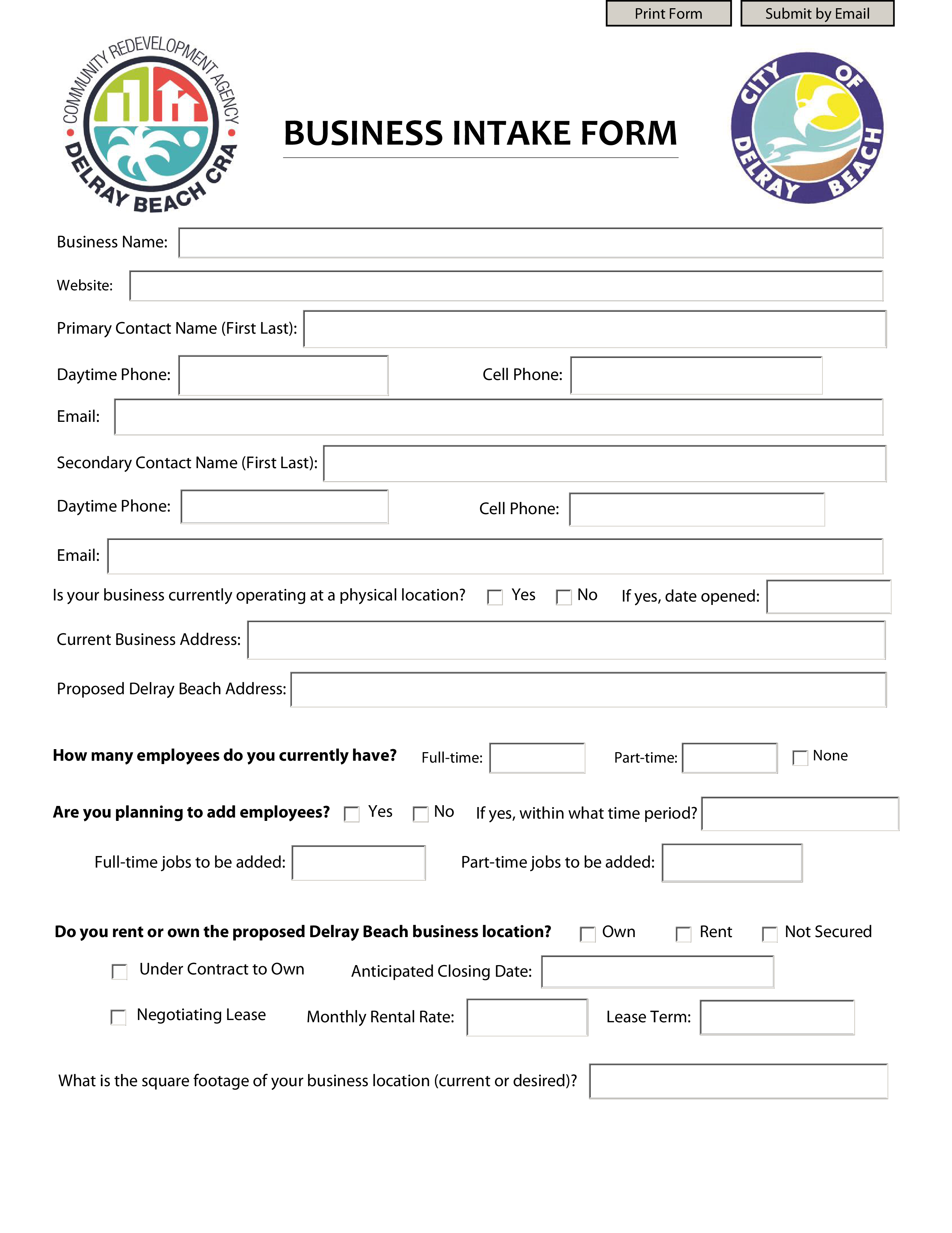 business intake form plantilla imagen principal