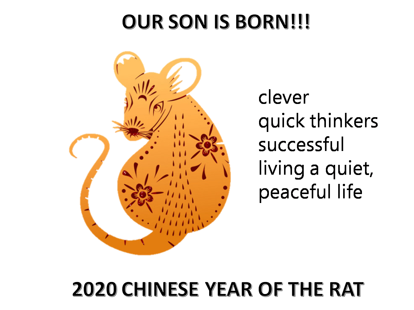 Year Of The Rat Poster Son is Born Templates at