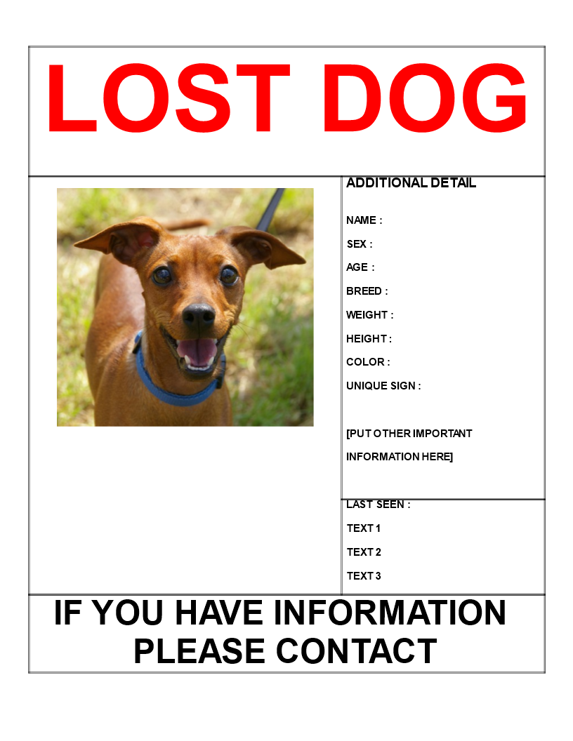 免费 Find missing dog poster template letter size 样本文件在