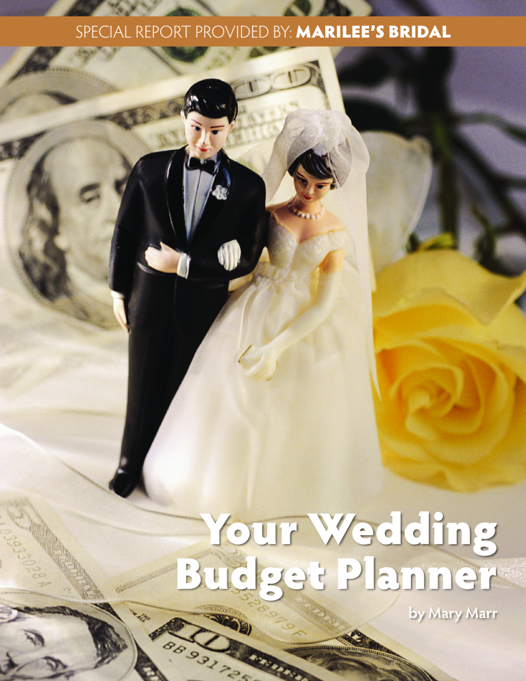 Corporate Wedding Budget 模板