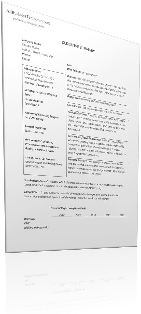 executive summary template Hauptschablonenbild