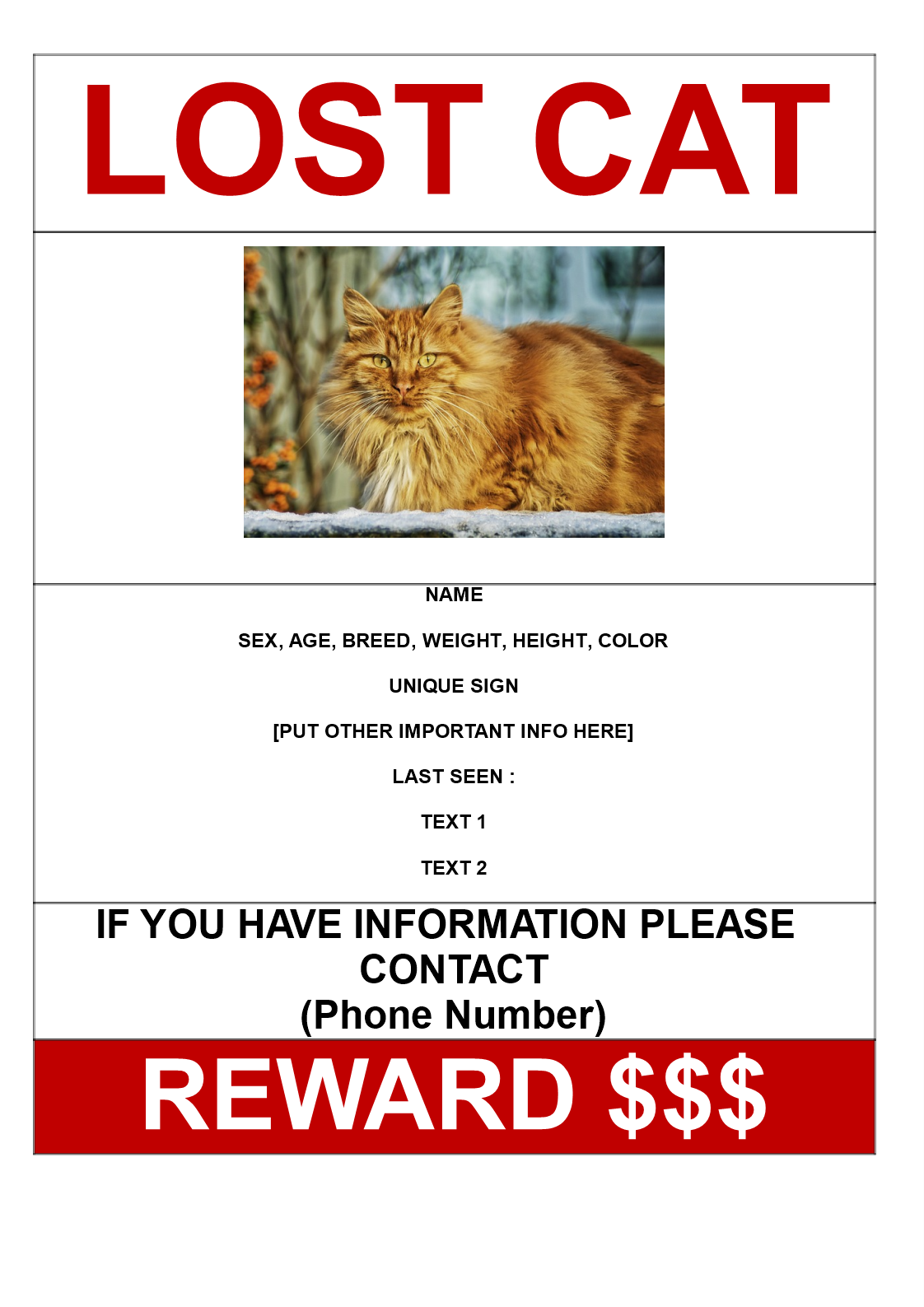 Lost Cat with Reward Model A21 template  Templates at Regarding Lost Pet Flyer Template