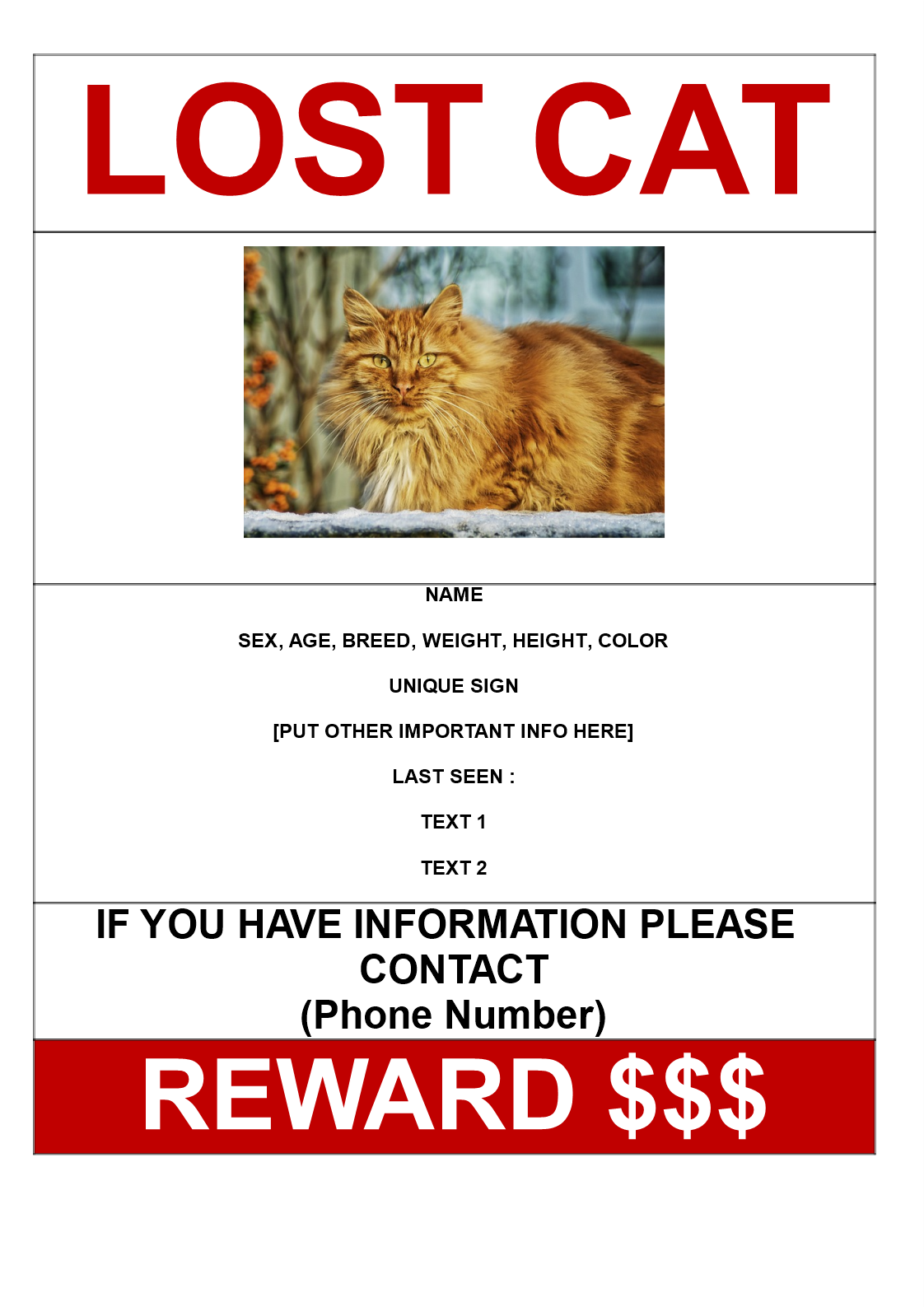 lost cat with reward model a3 template modèles