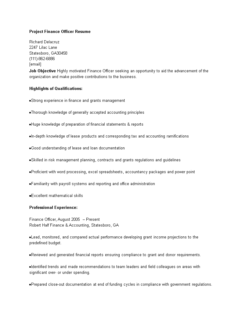 Project Finance Officer Resume main image