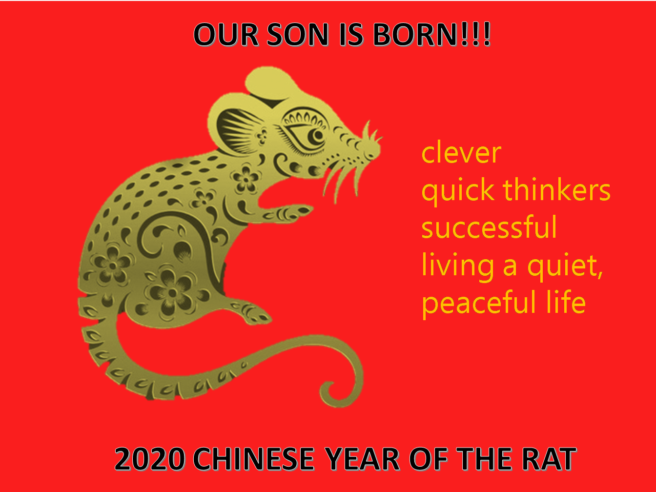 year of the rat poster son is born voorbeeld afbeelding 